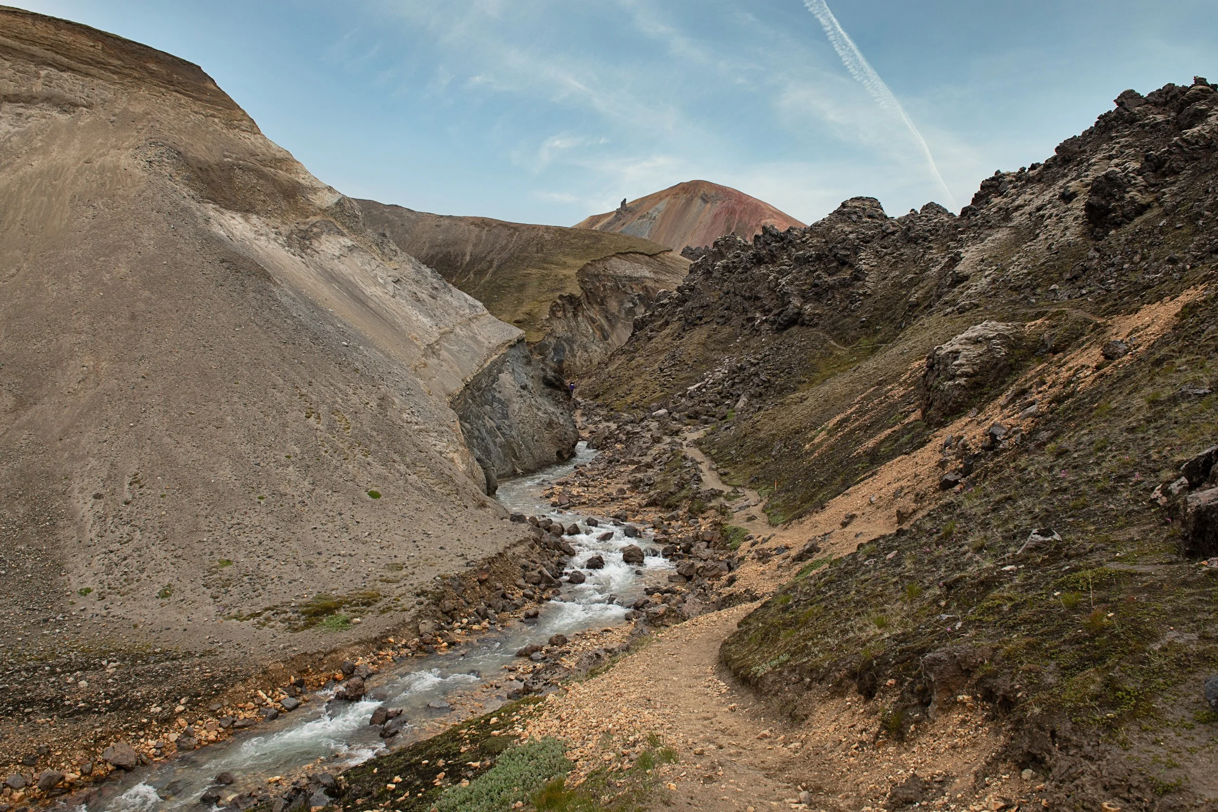 _DSC0781.jpg