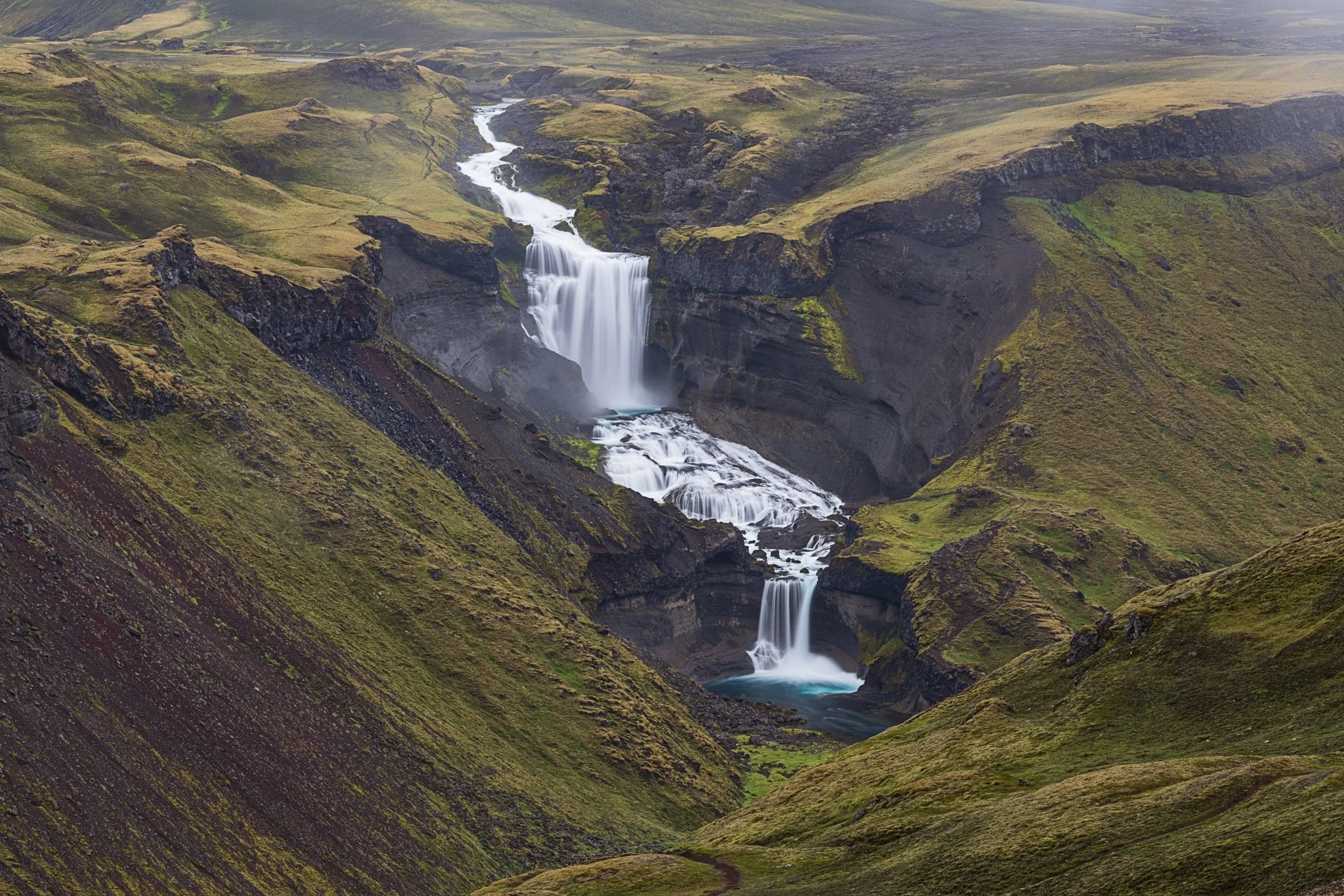 _DSC0536-1_.jpg