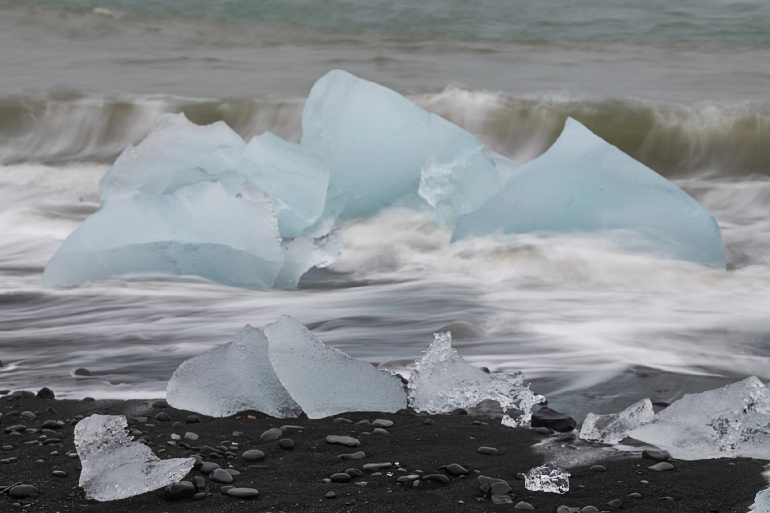 _DSC0386-1_.jpg