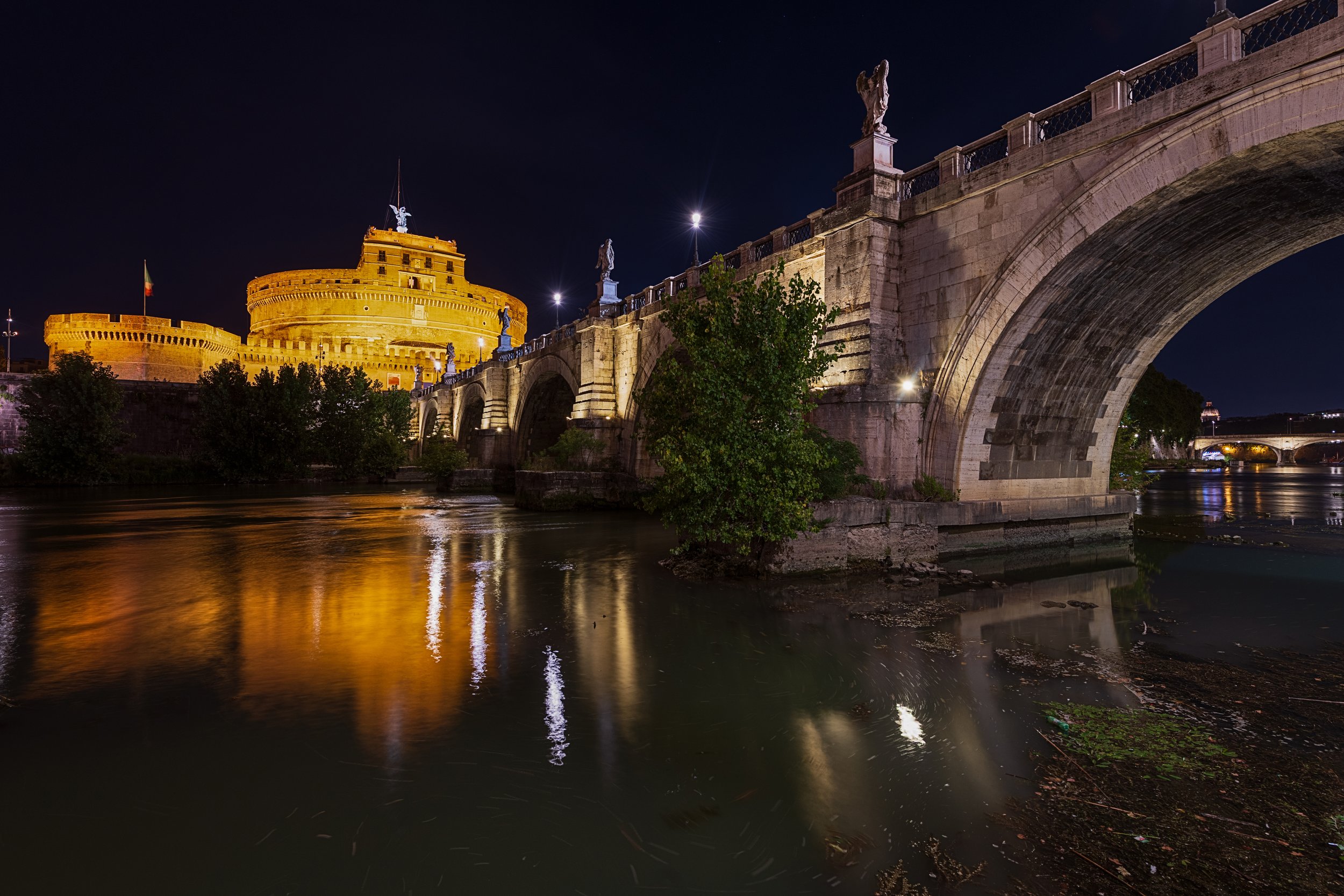 _DSC0104-1_.jpg
