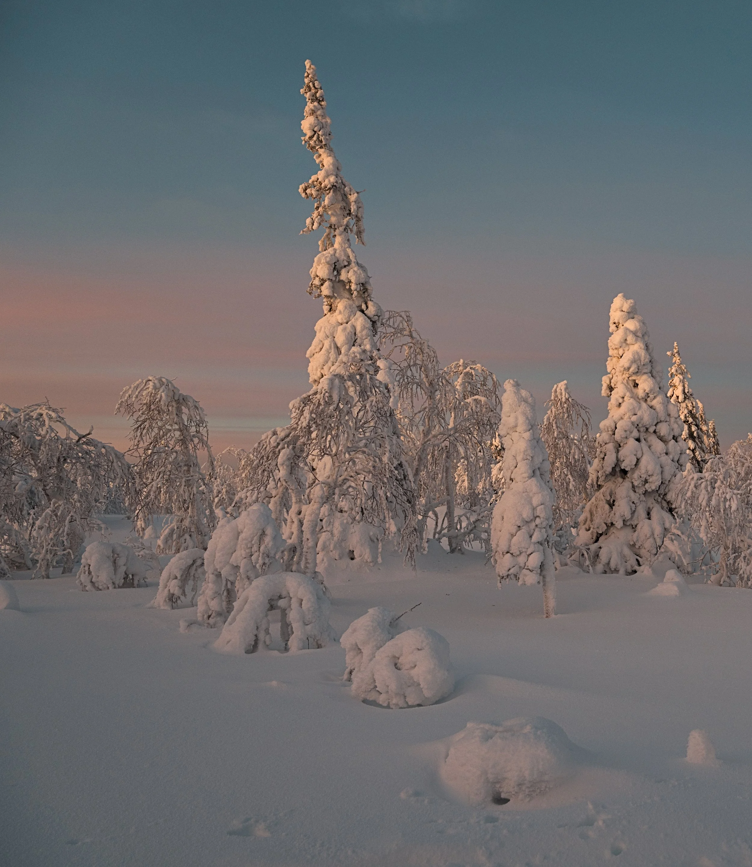 _DSC7826__.jpg