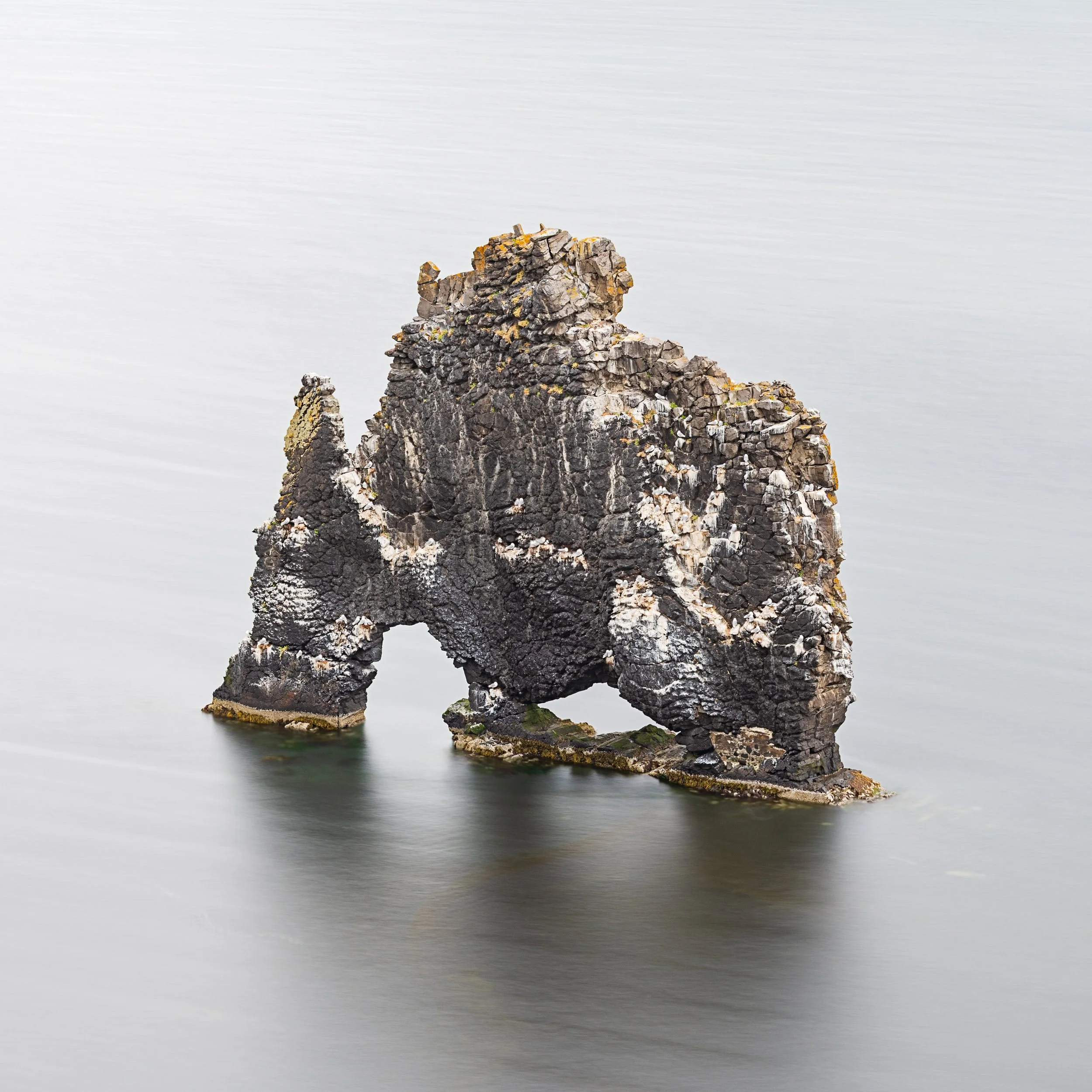Hvítserkur