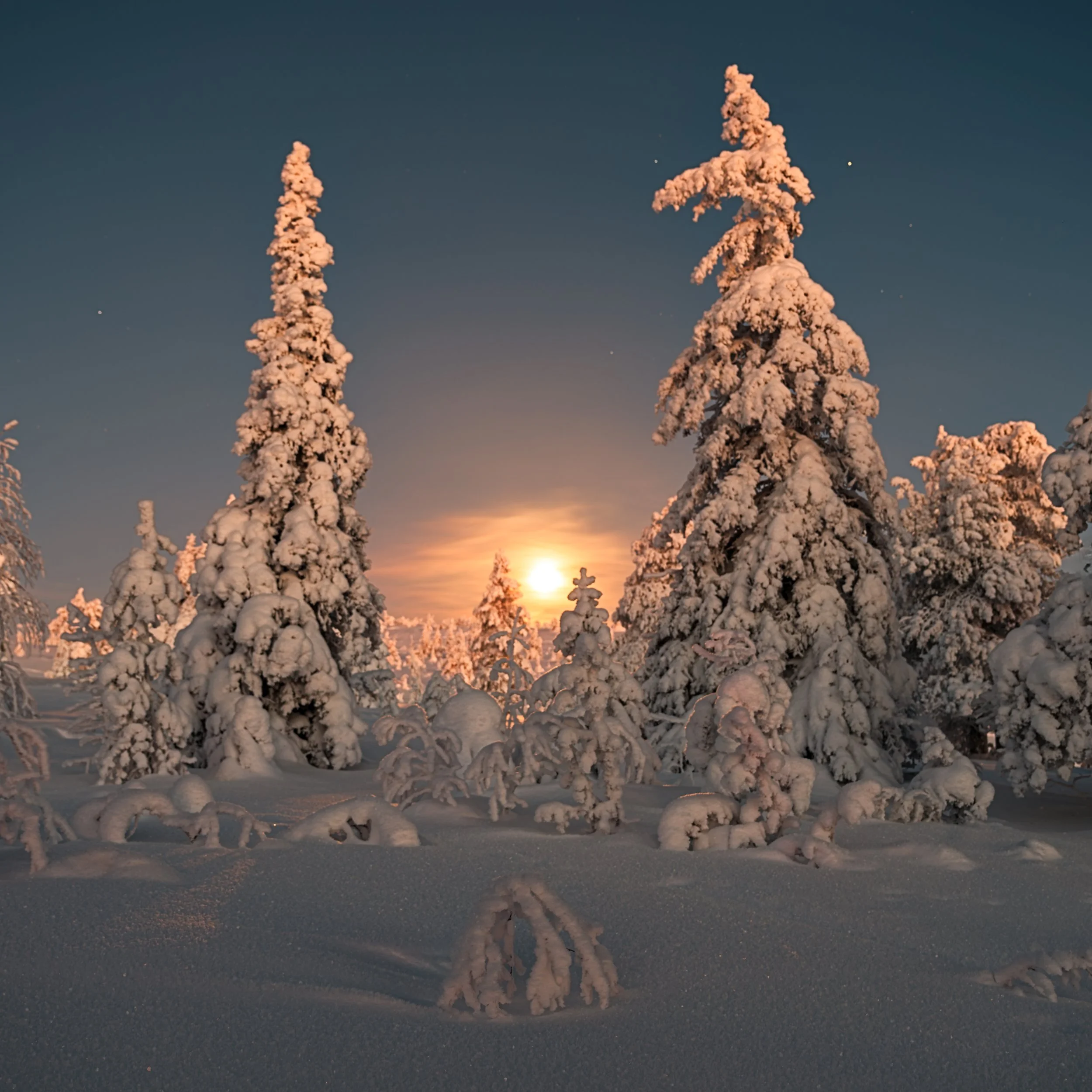 _DSC6580_.jpg