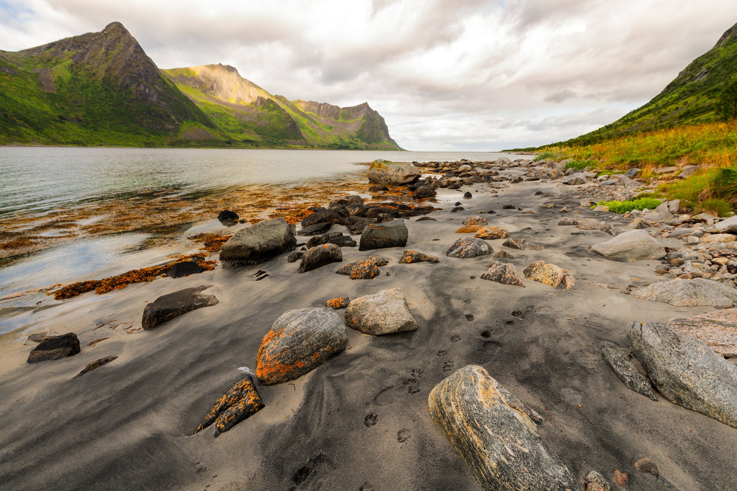 SteinFjord and ErsFjord
