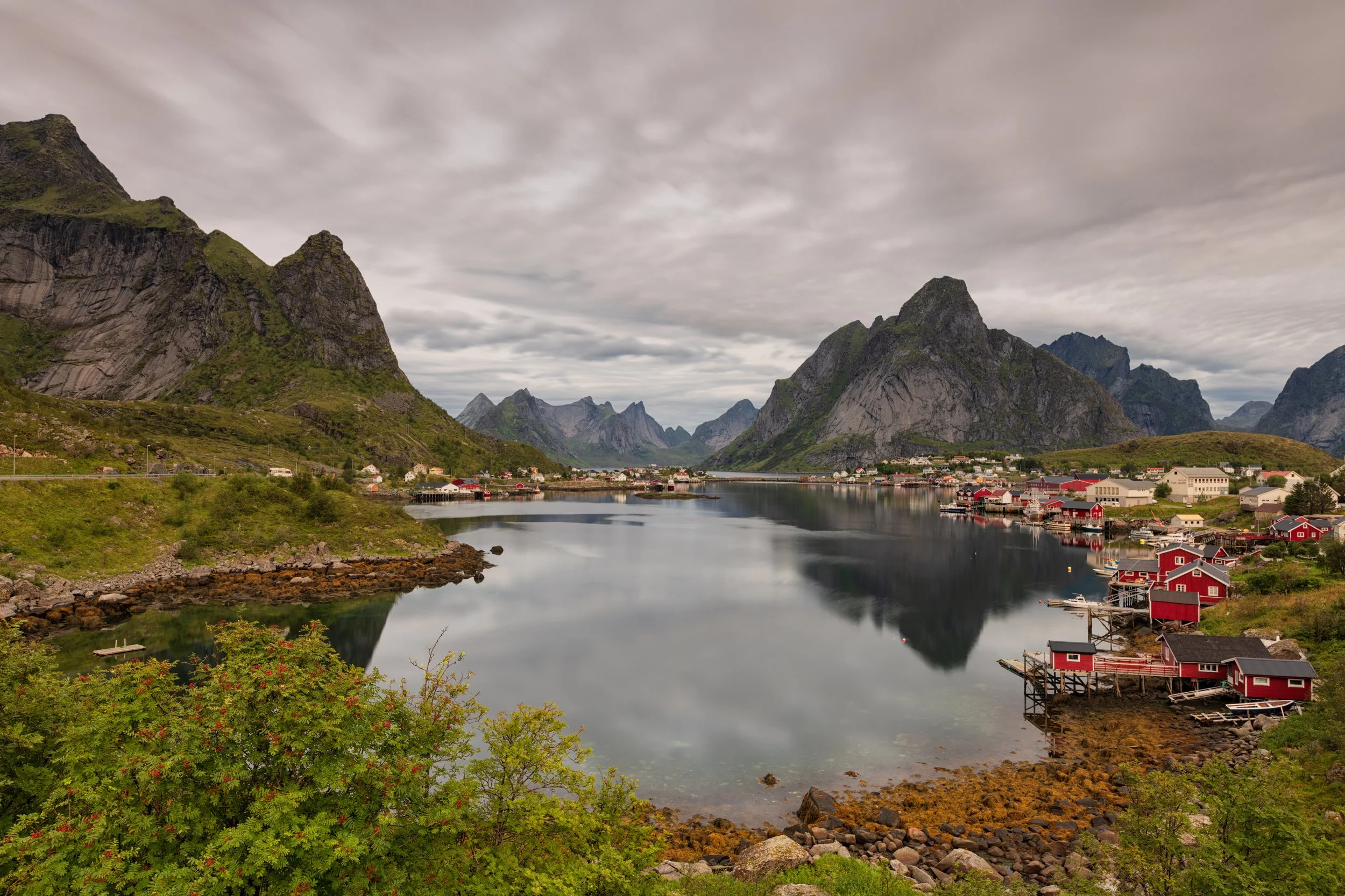 Reine