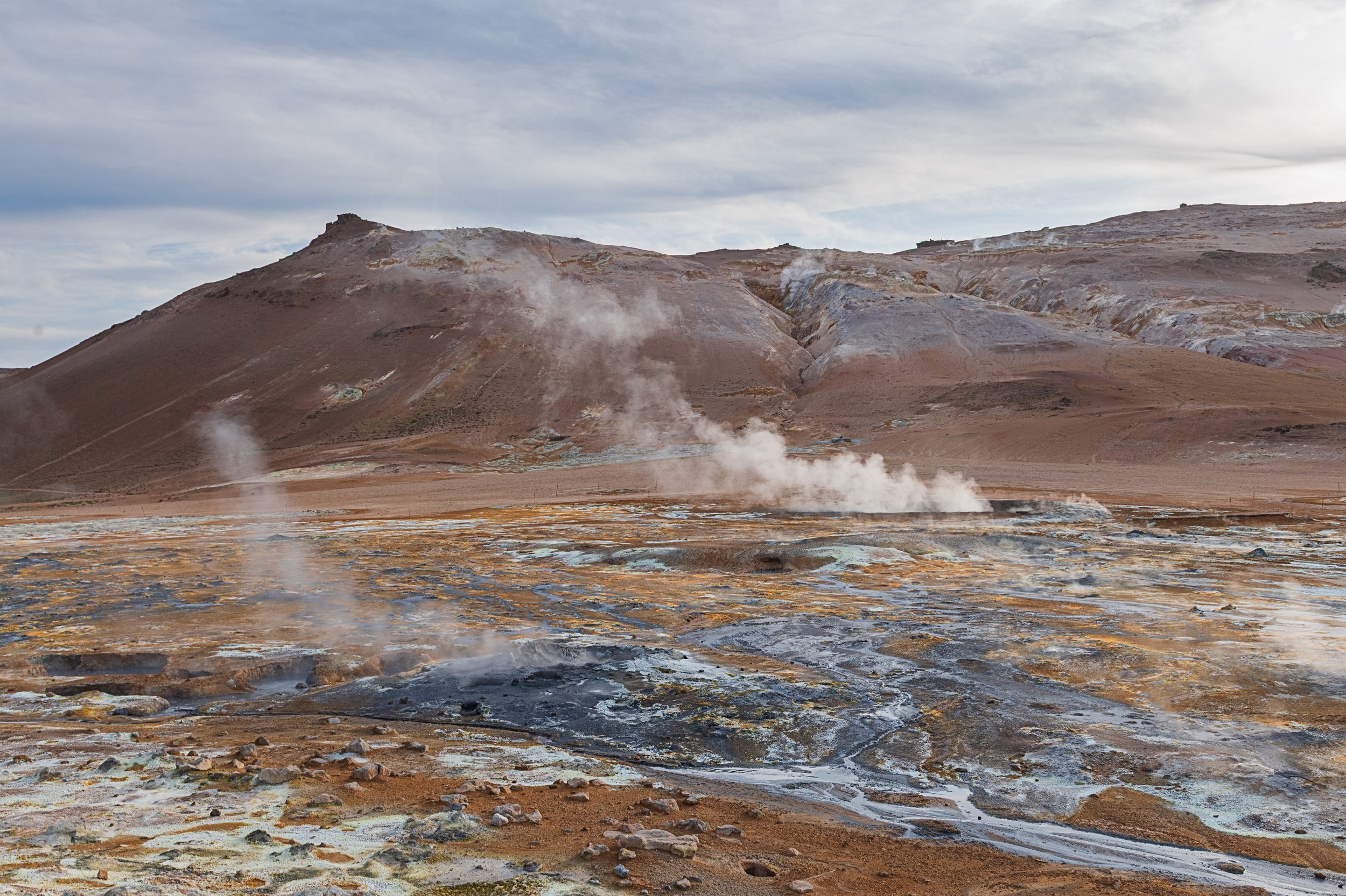 _DSC1235-1_.jpg