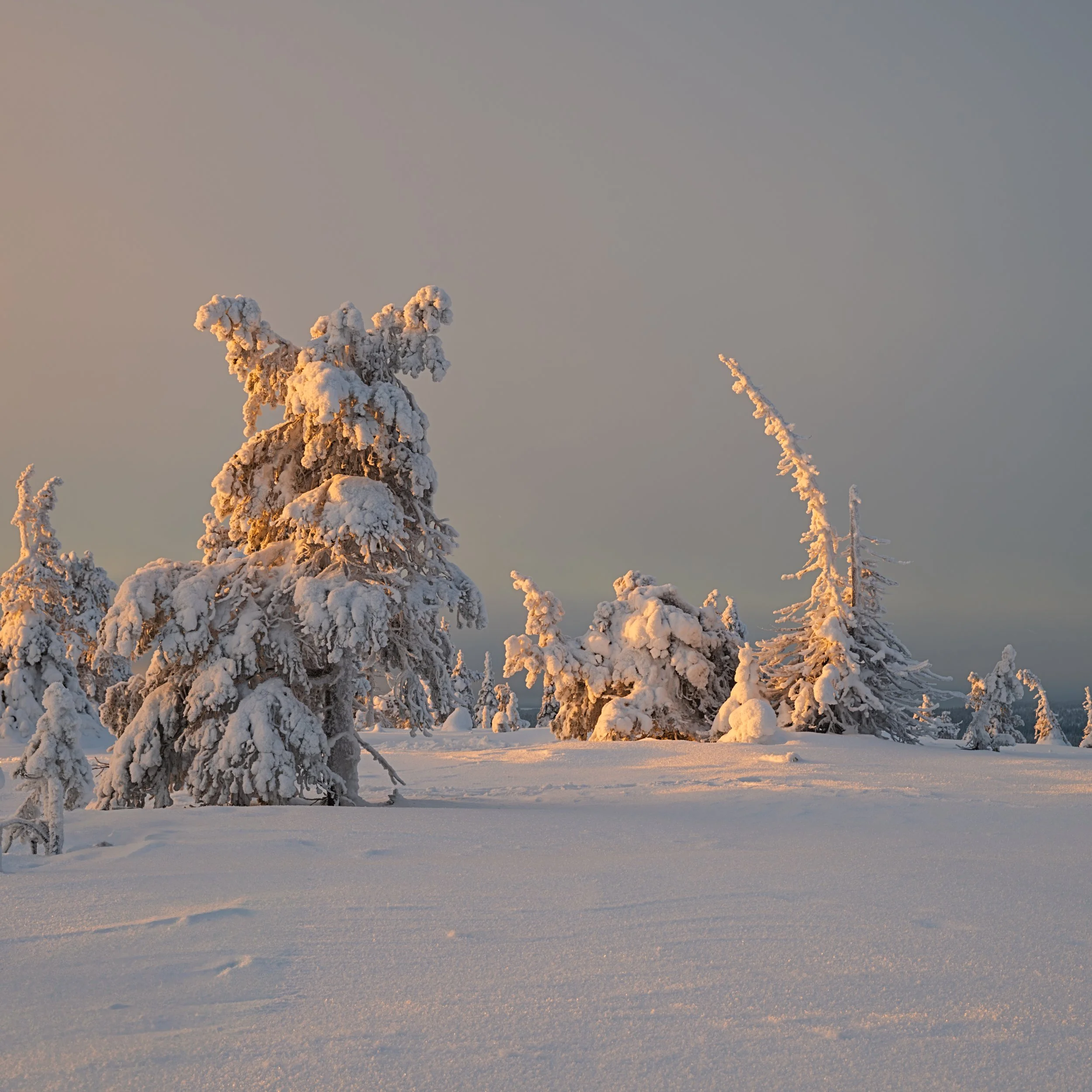 _DSC6789_.jpg
