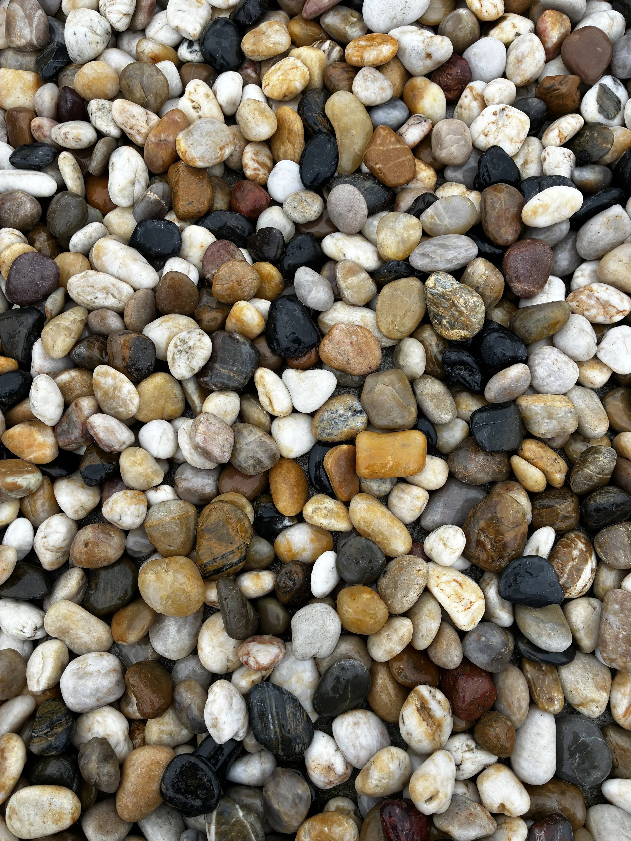 MIXED POLISHED COBBLES 25kg