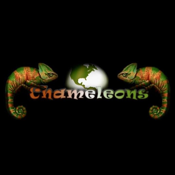 Graphic logo with two chameleons facing each other, a globe in the center, and the word "Chameleons" written below in orange and green text, on a black background.