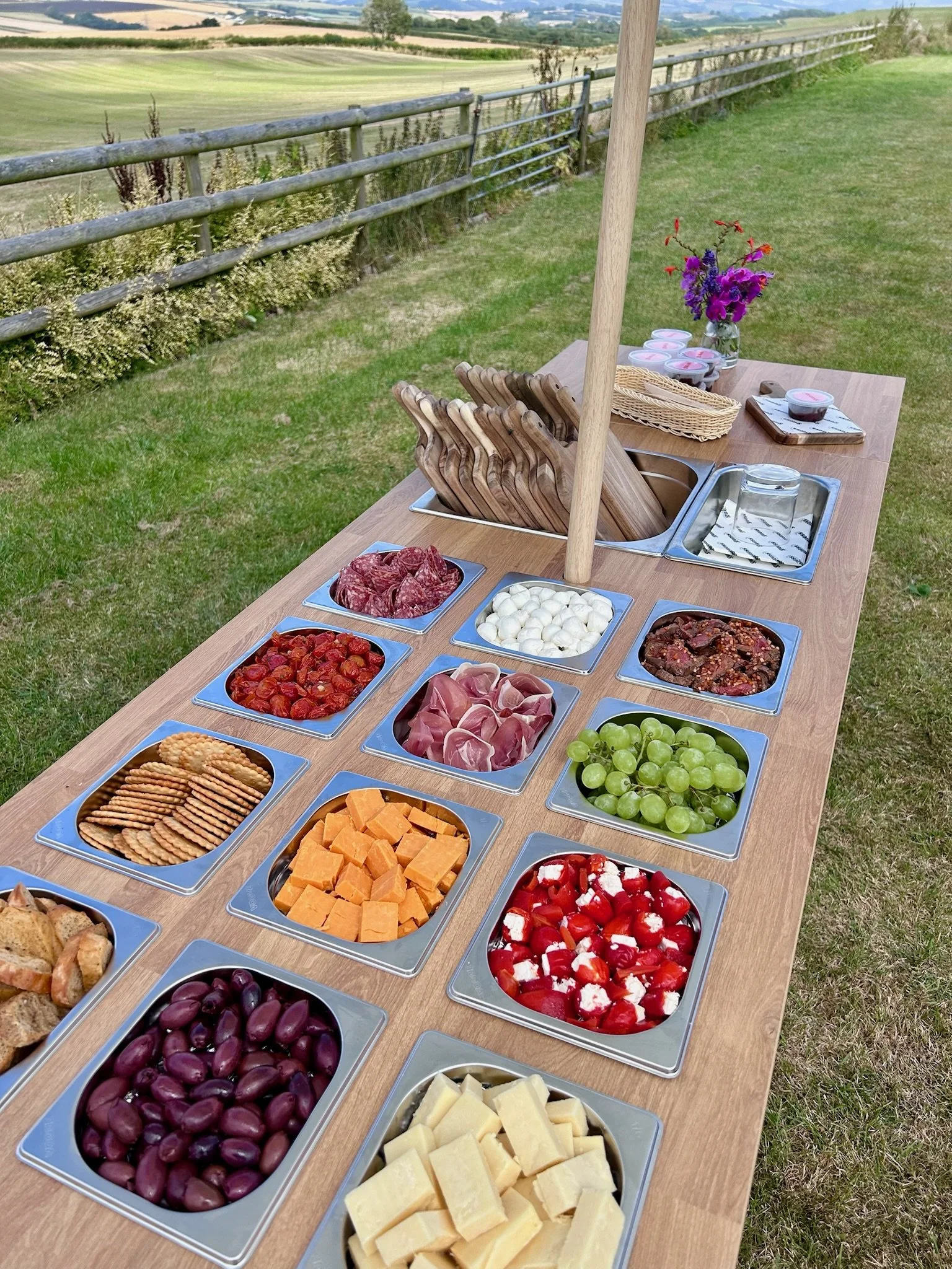 Outdoor charcuterie and cheese spread on a wooden table with grapes, cheeses, cured meats, vegetables, crackers, and condiments against a grassy landscape with a fence and open fields.