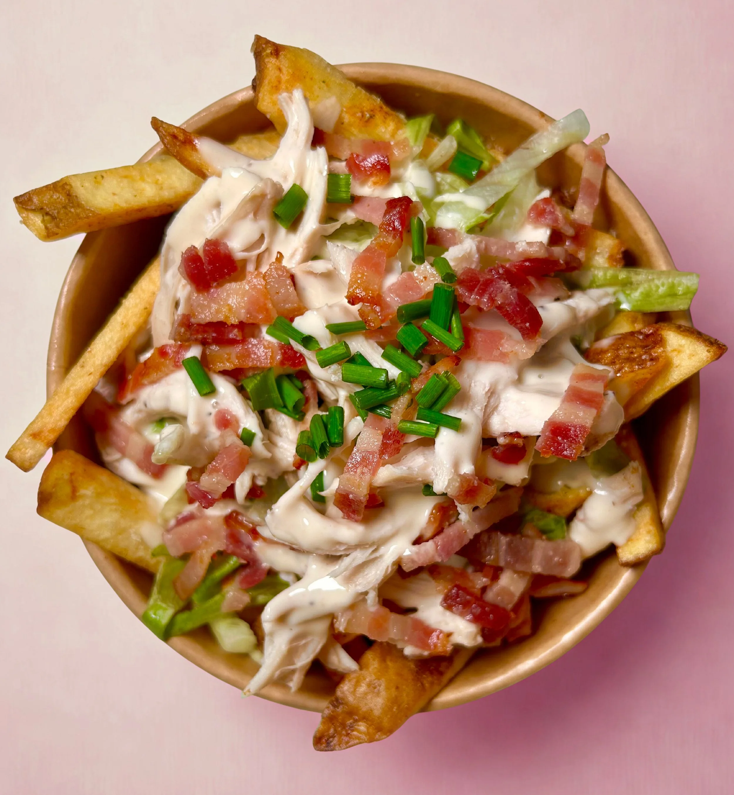 A bowl of loaded French fries topped with shredded chicken, bacon bits, chopped green onions, and drizzled with ranch dressing.