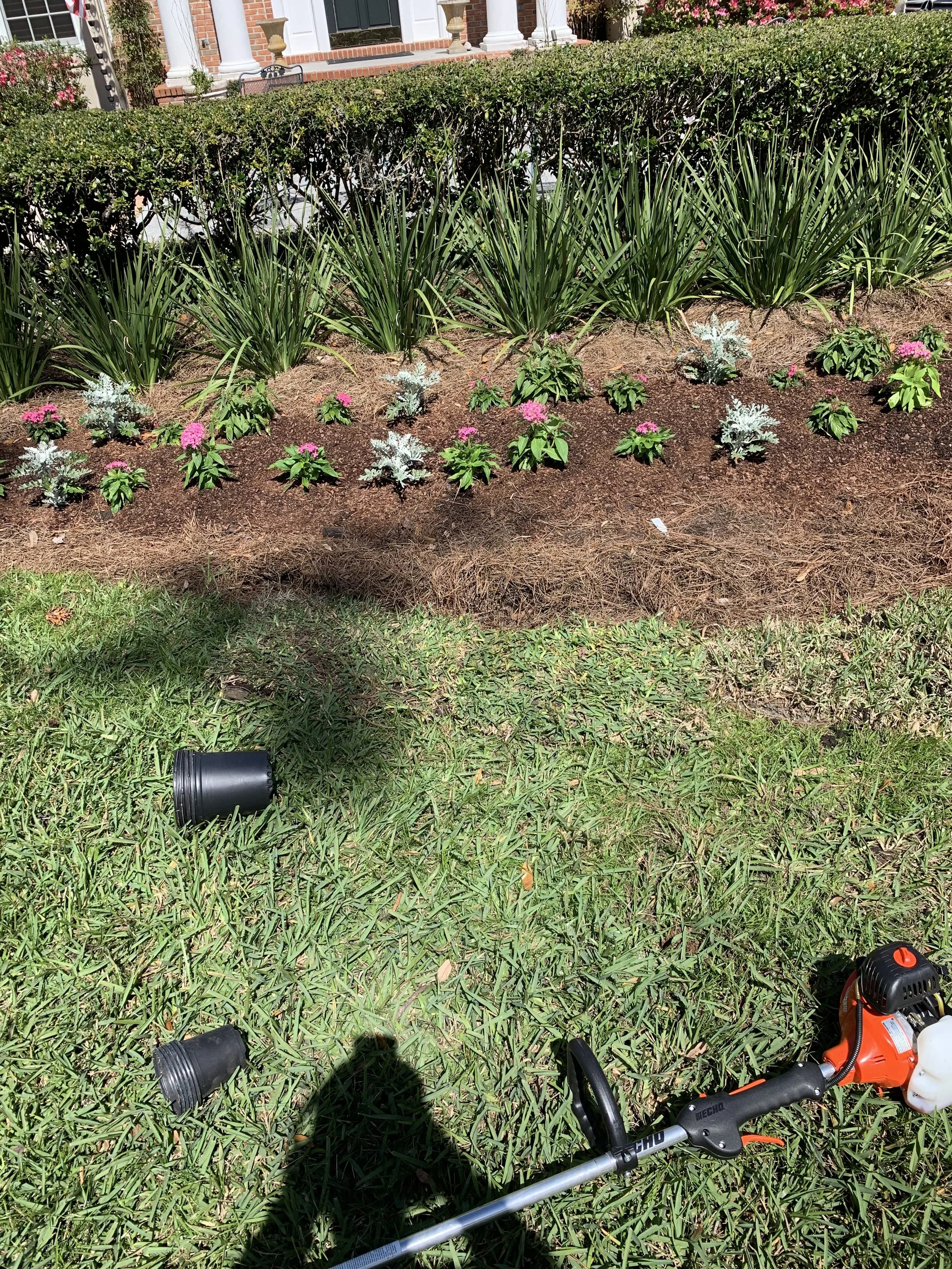 IMG_20251007_144250 (6).jpg