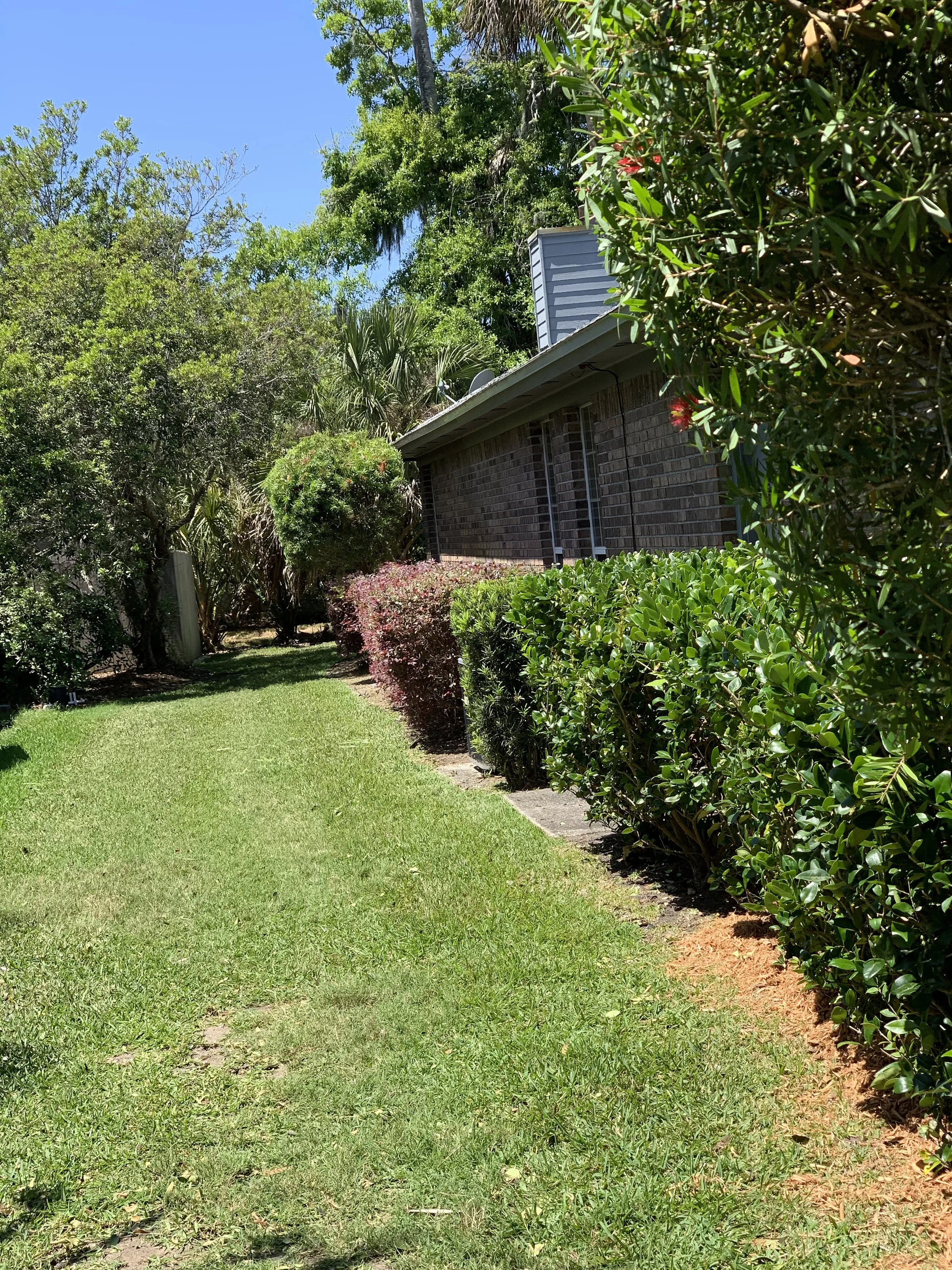 IMG_20251007_144249 (3).jpg