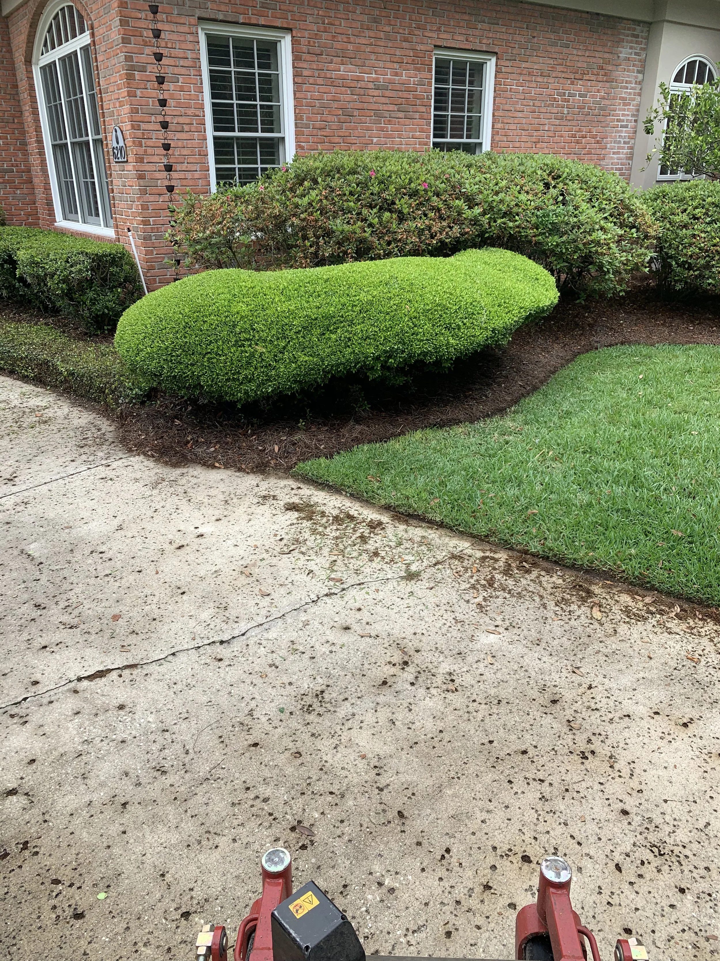 IMG_20251007_144249 (5).jpg