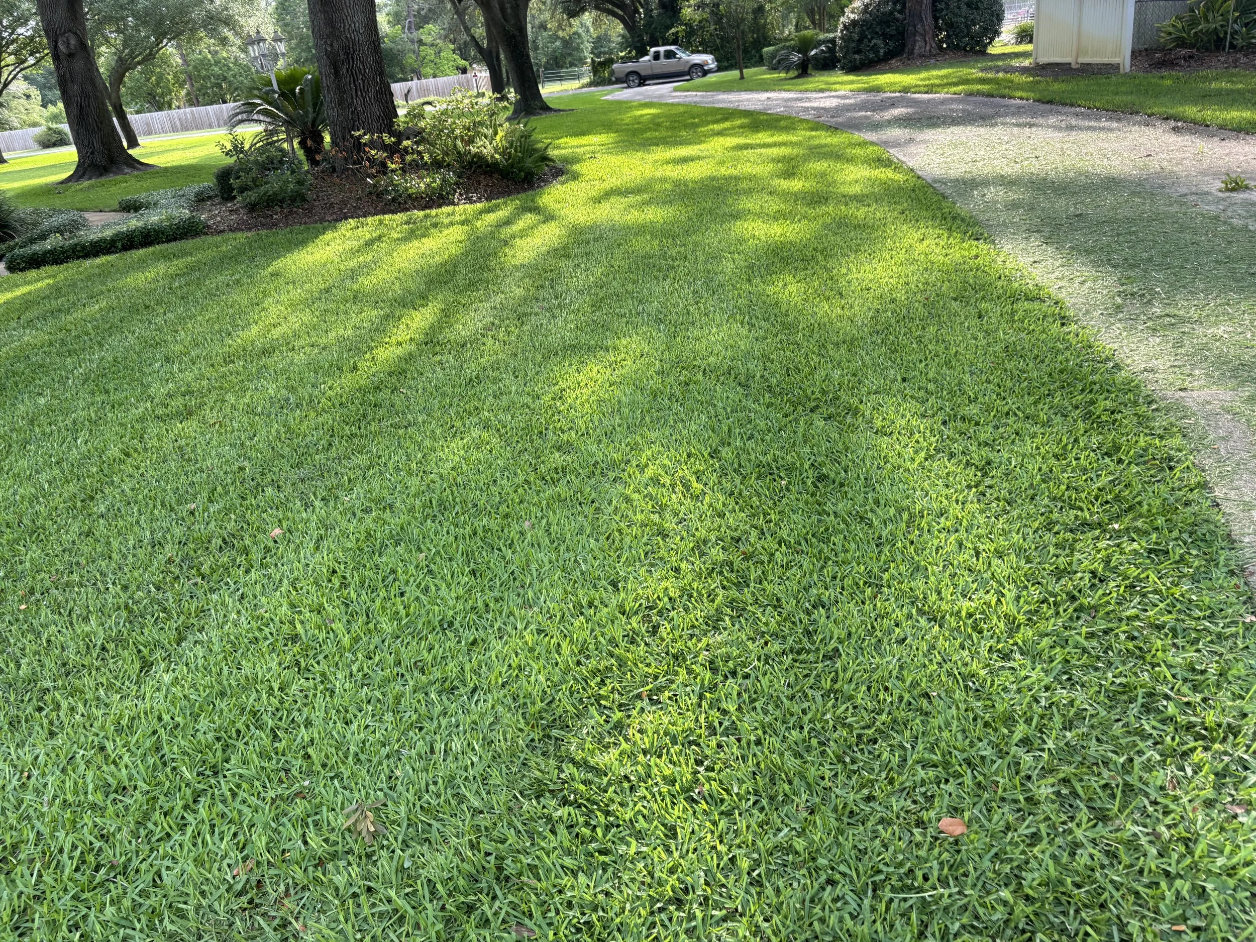 IMG_20251007_144249 (6).jpg