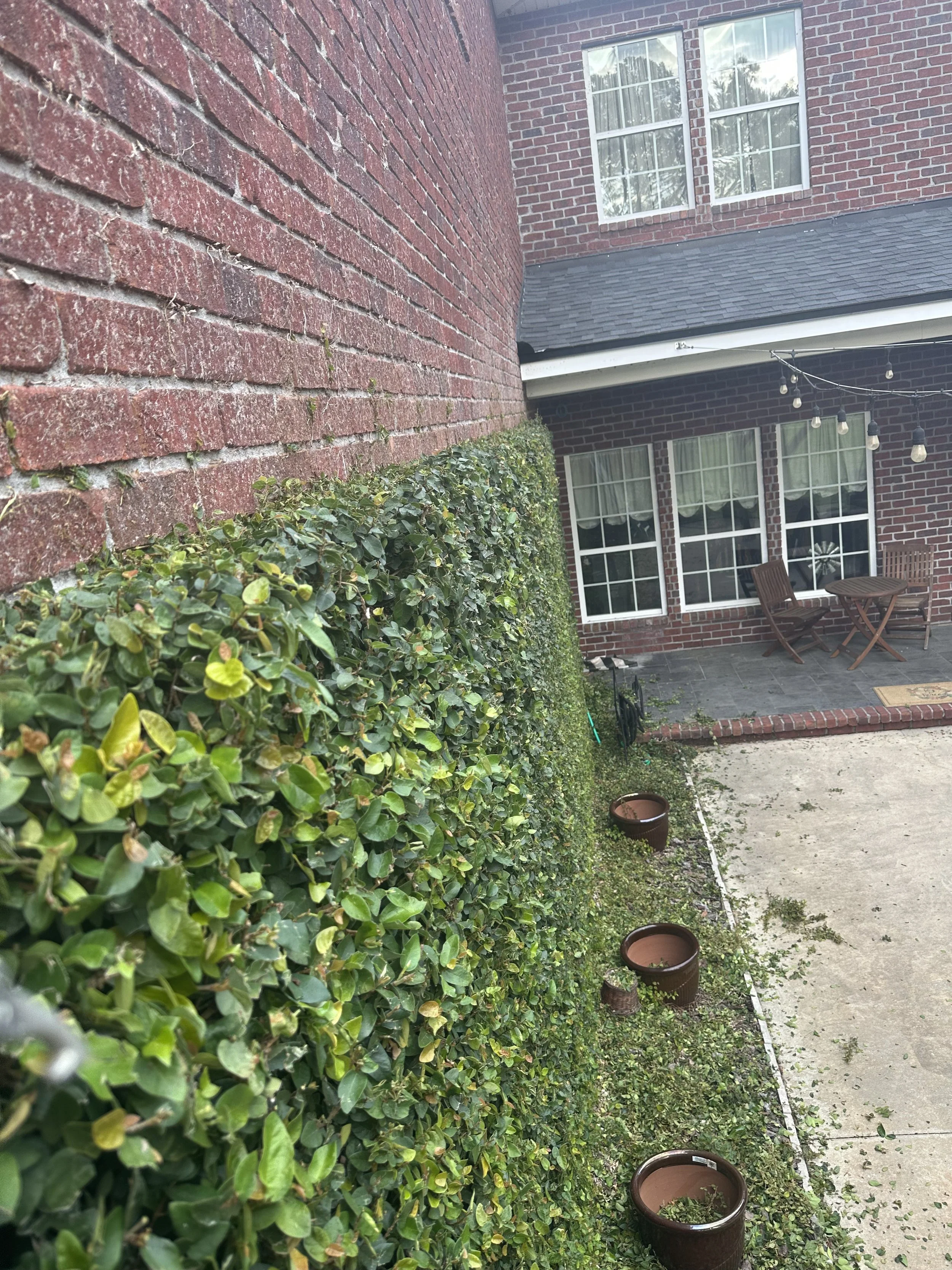 IMG_20251007_144249 (9).jpg