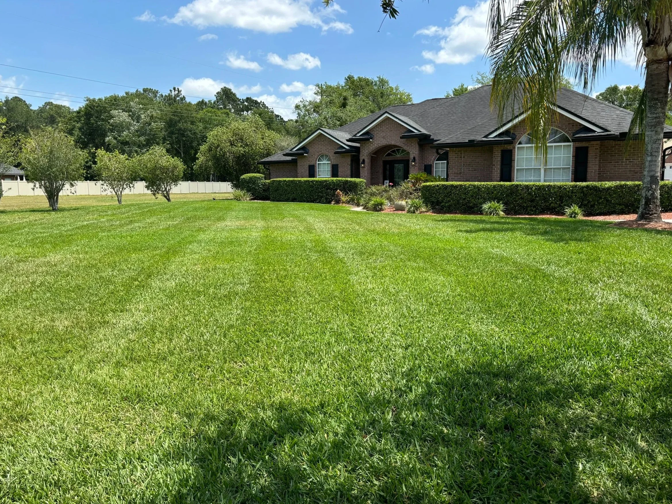 Lawn Mowing & Maintenance