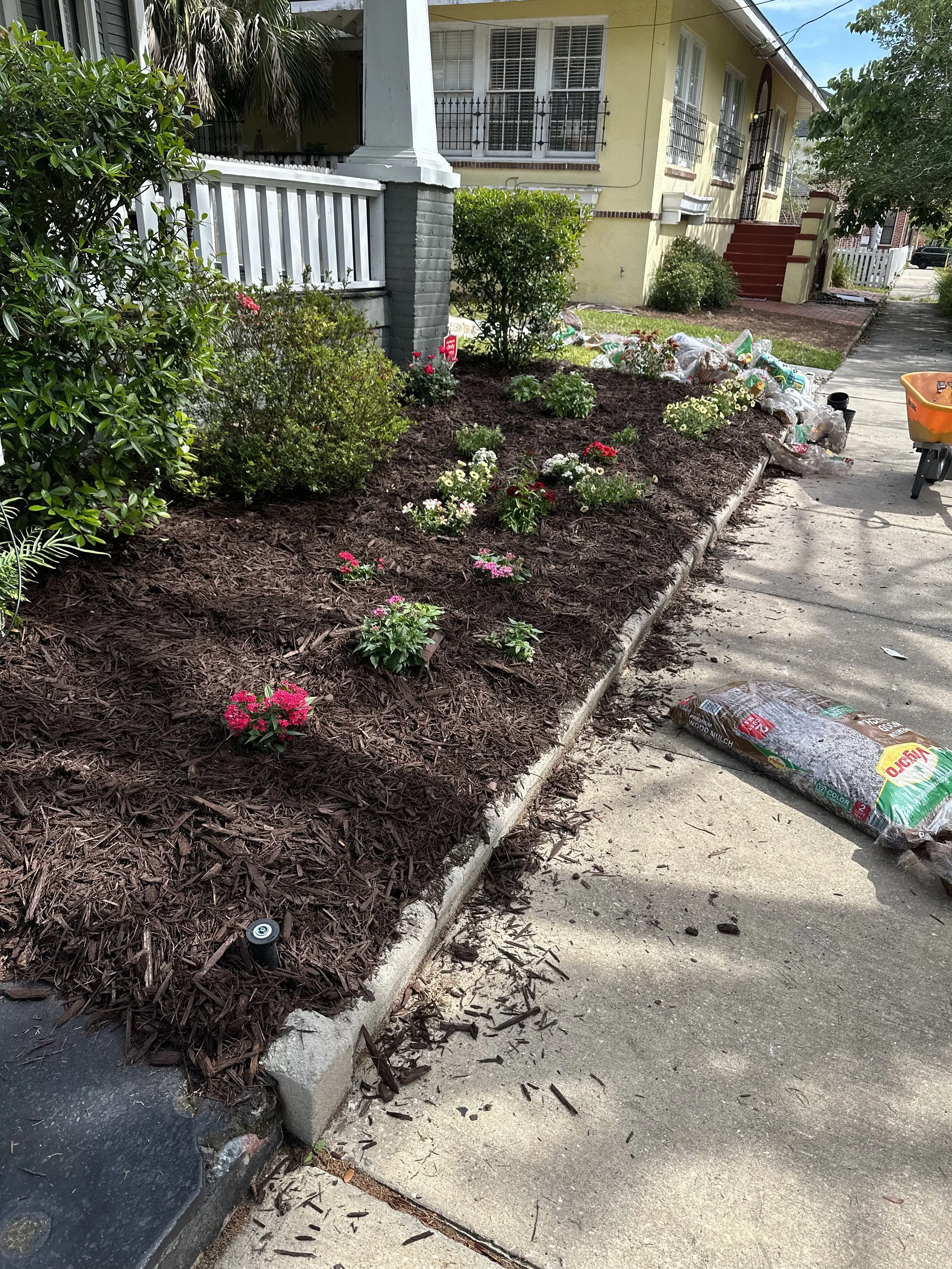 IMG_20251007_144248 (4).jpg