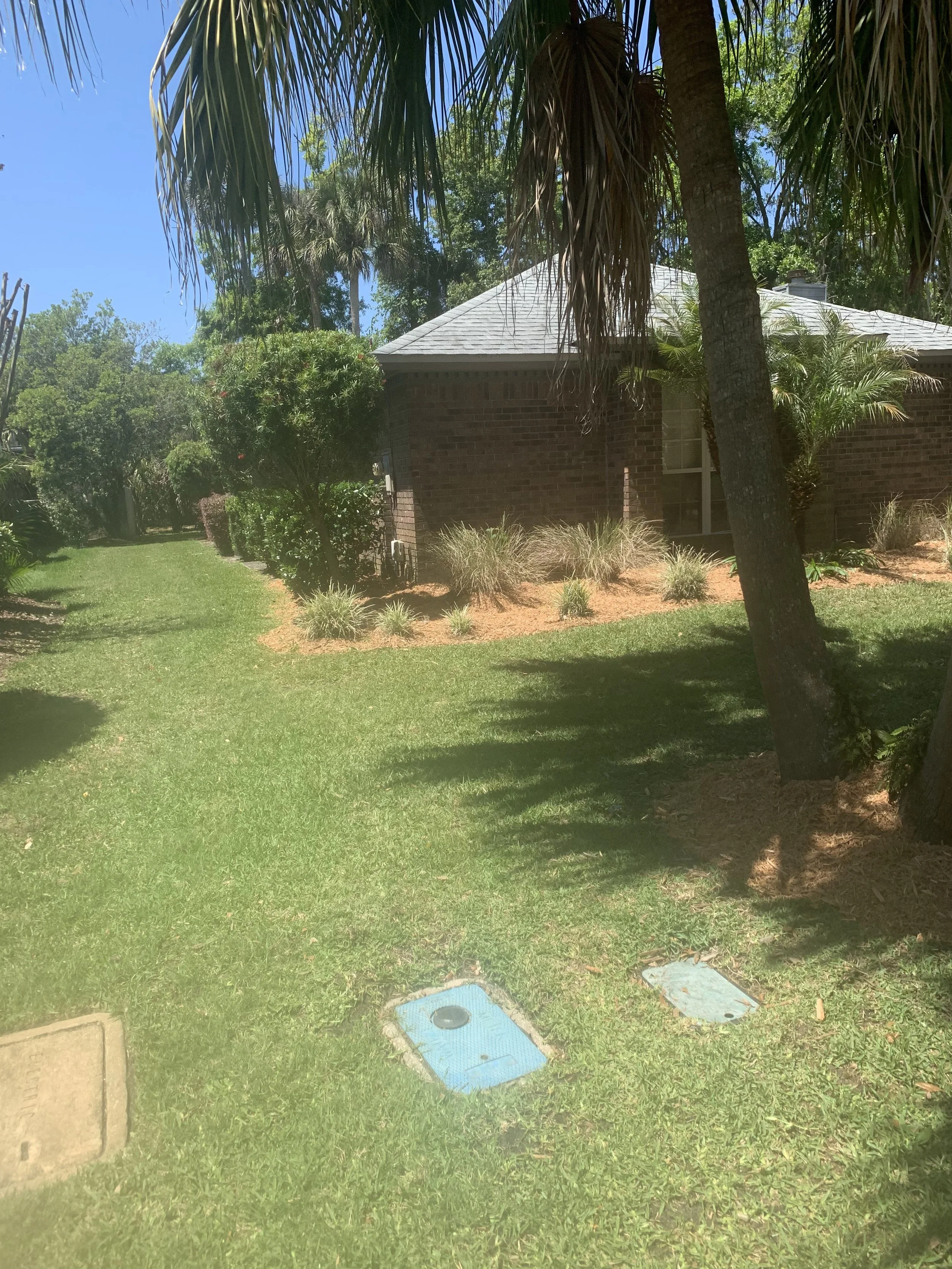 IMG_20251007_144250 (2).jpg