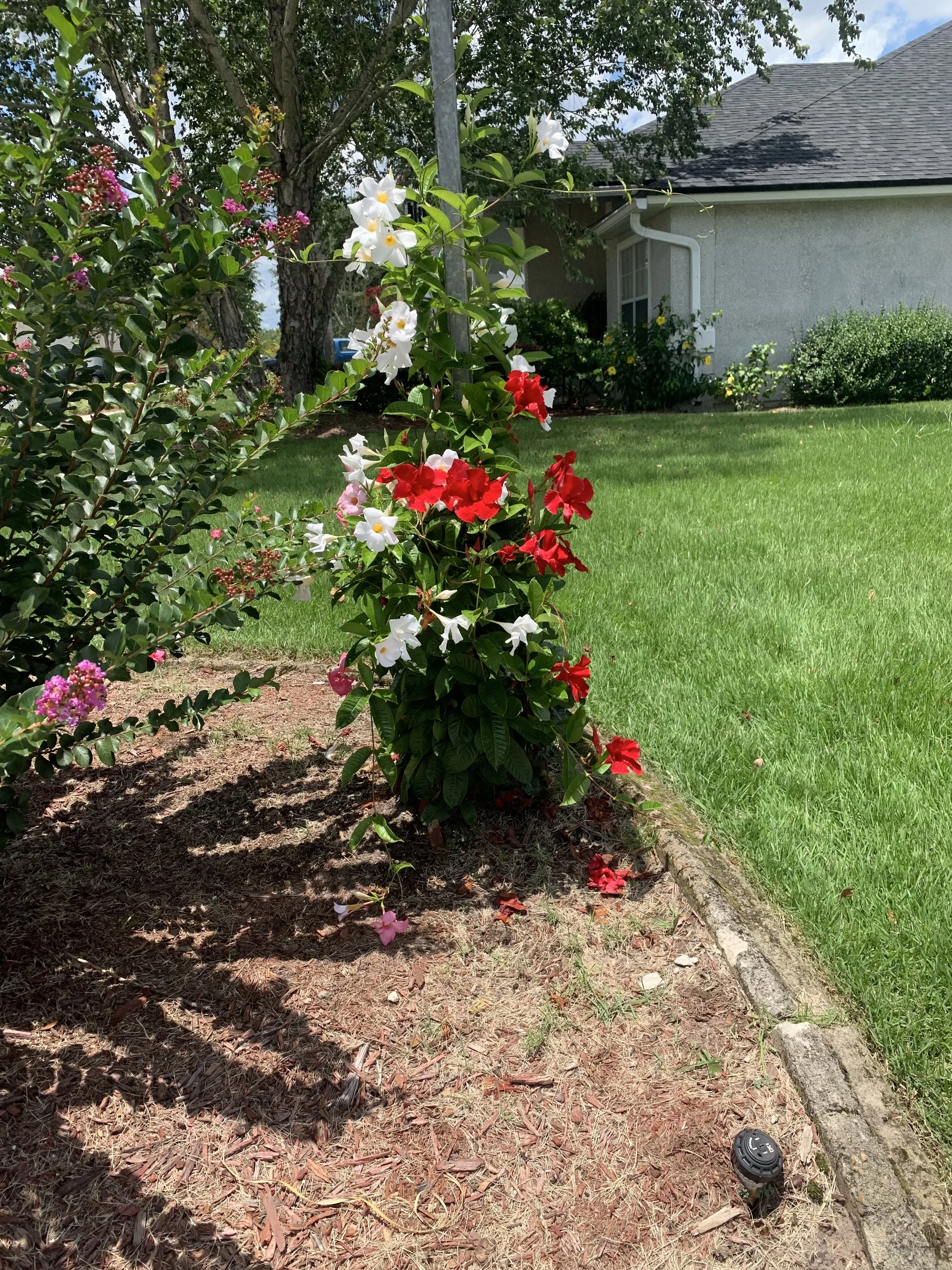 IMG_20251007_144250 (5).jpg