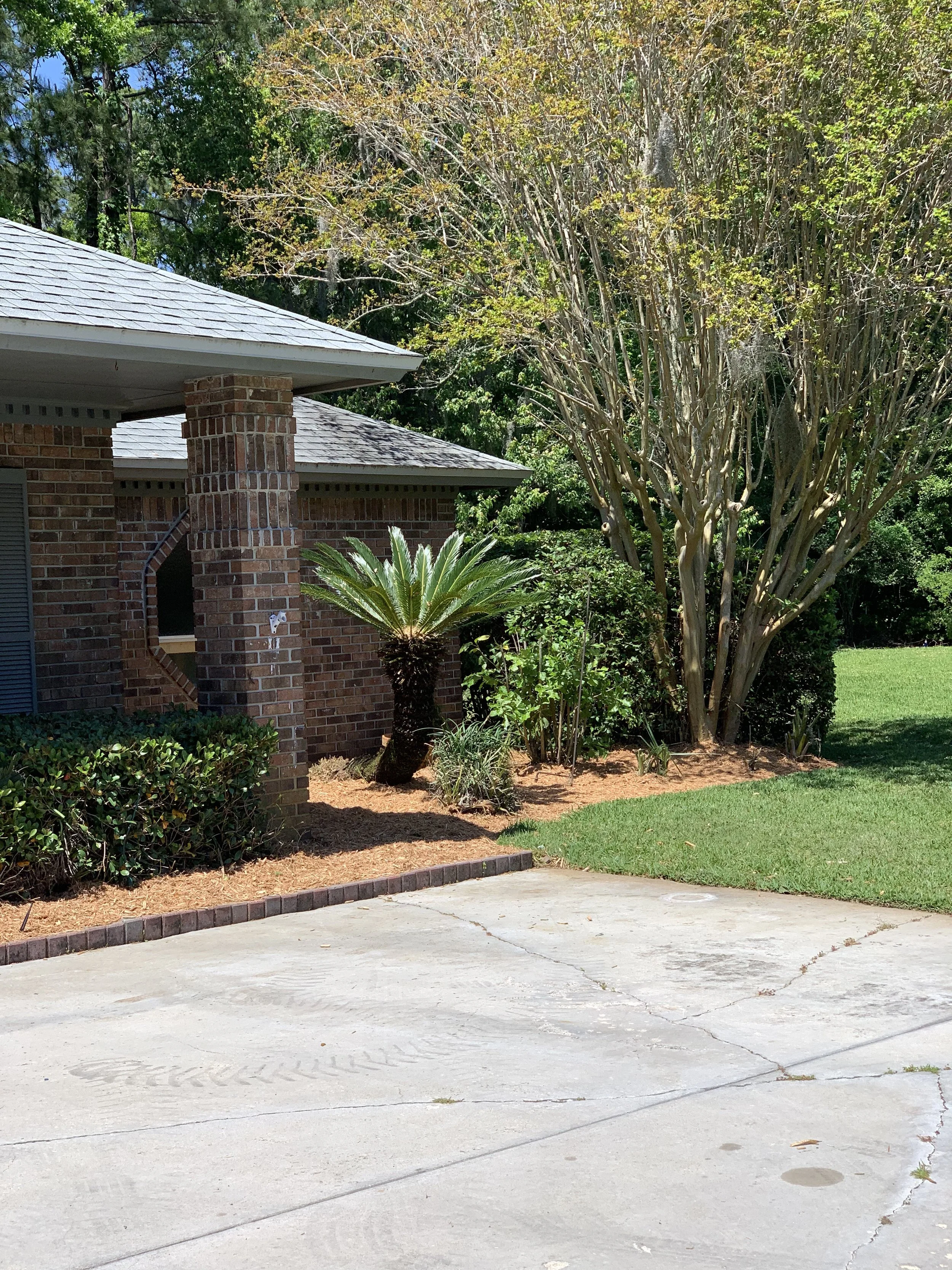 IMG_20251007_144249 (8).jpg