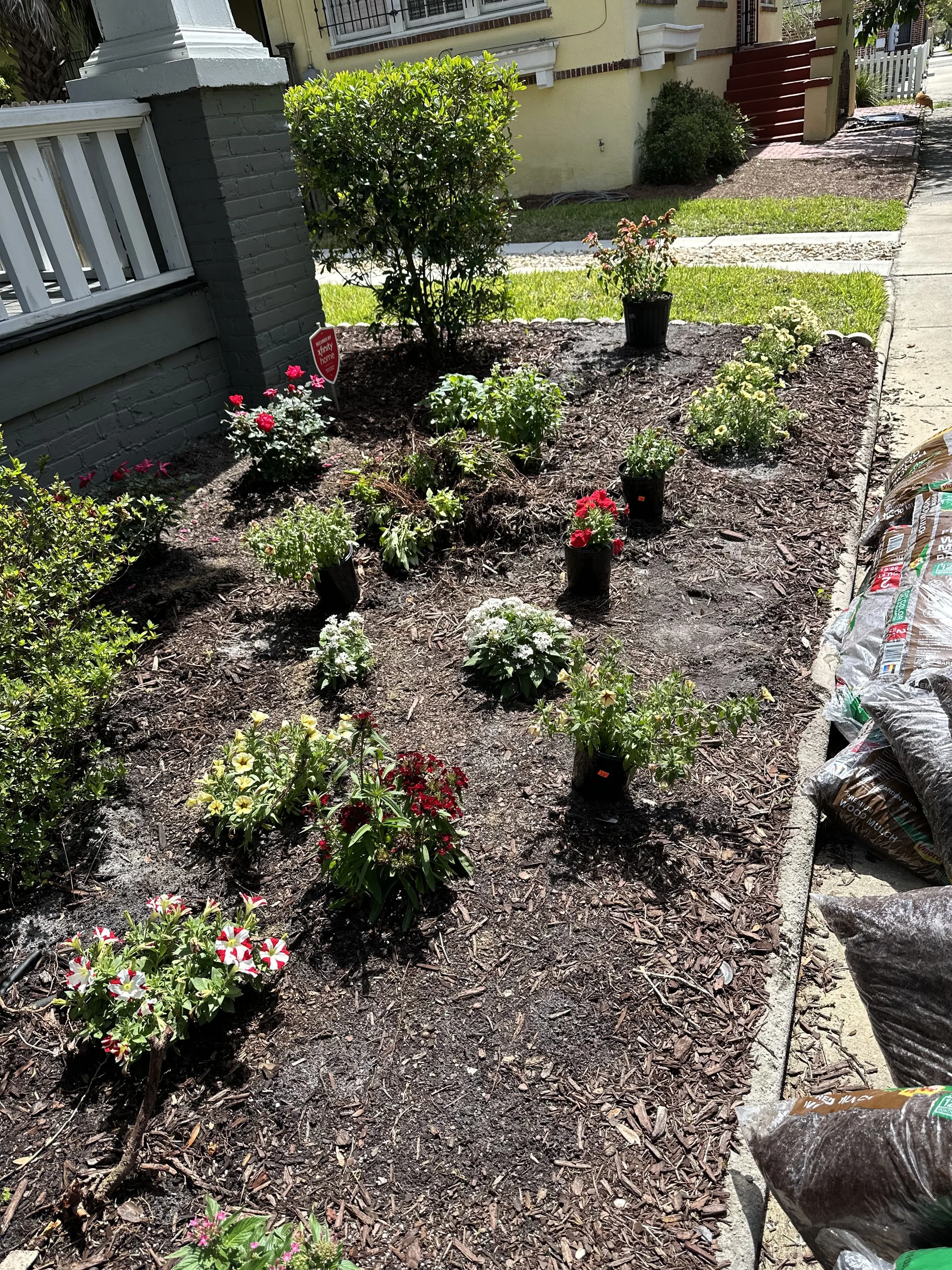 IMG_20251007_144250 (11).jpg