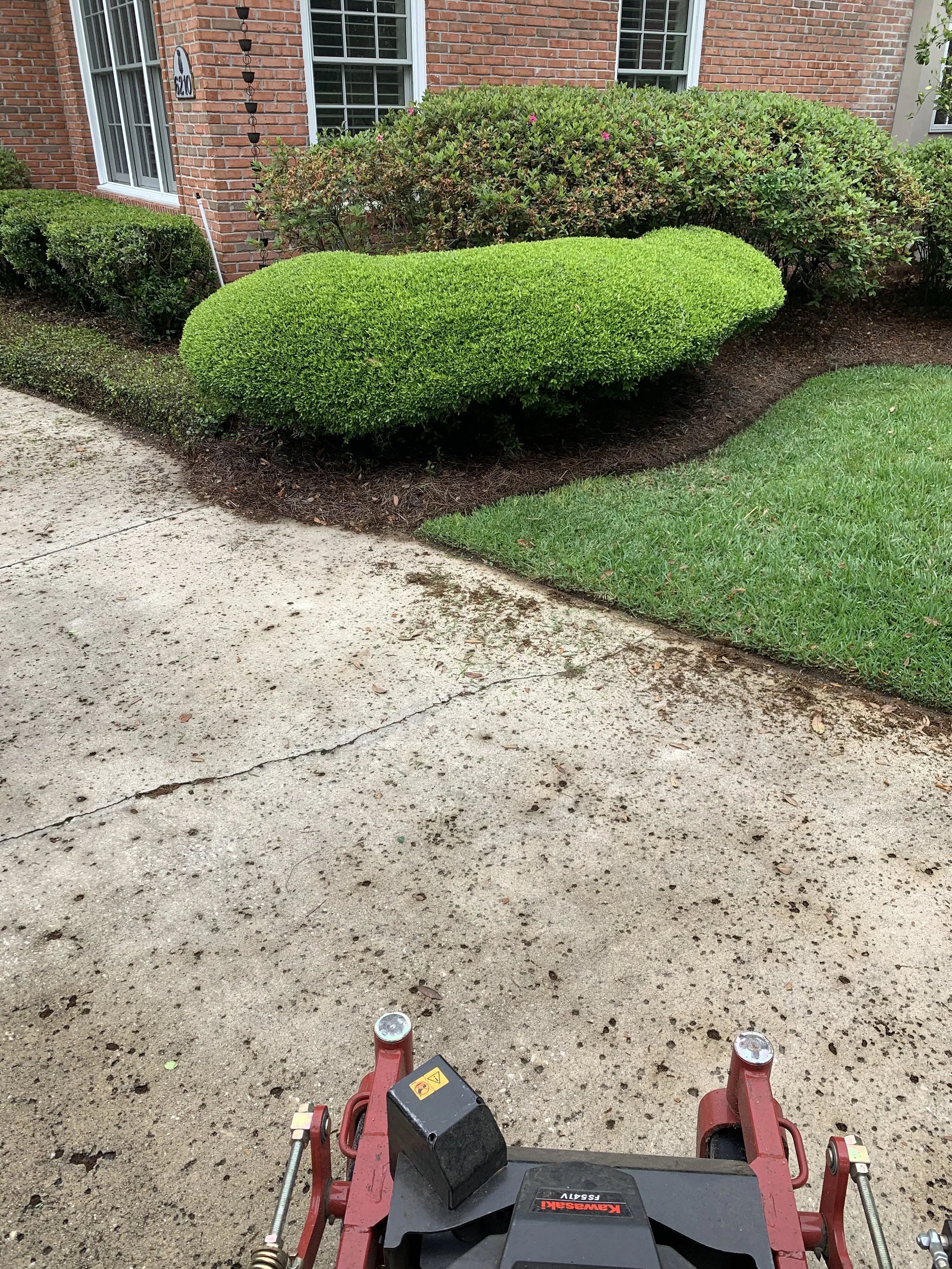 IMG_20251007_144250 (3).jpg