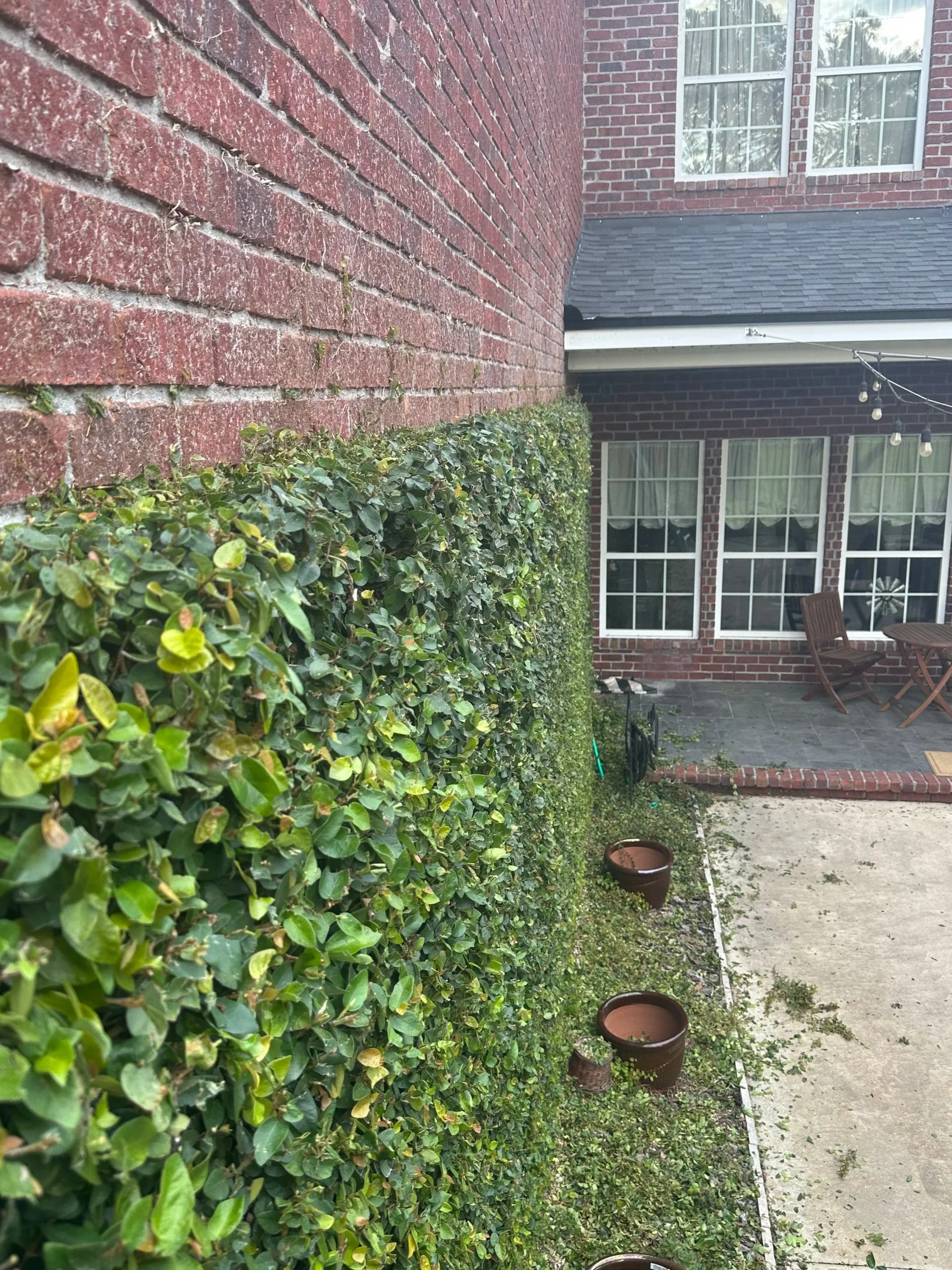 Hardscaping & Yard Cleanups