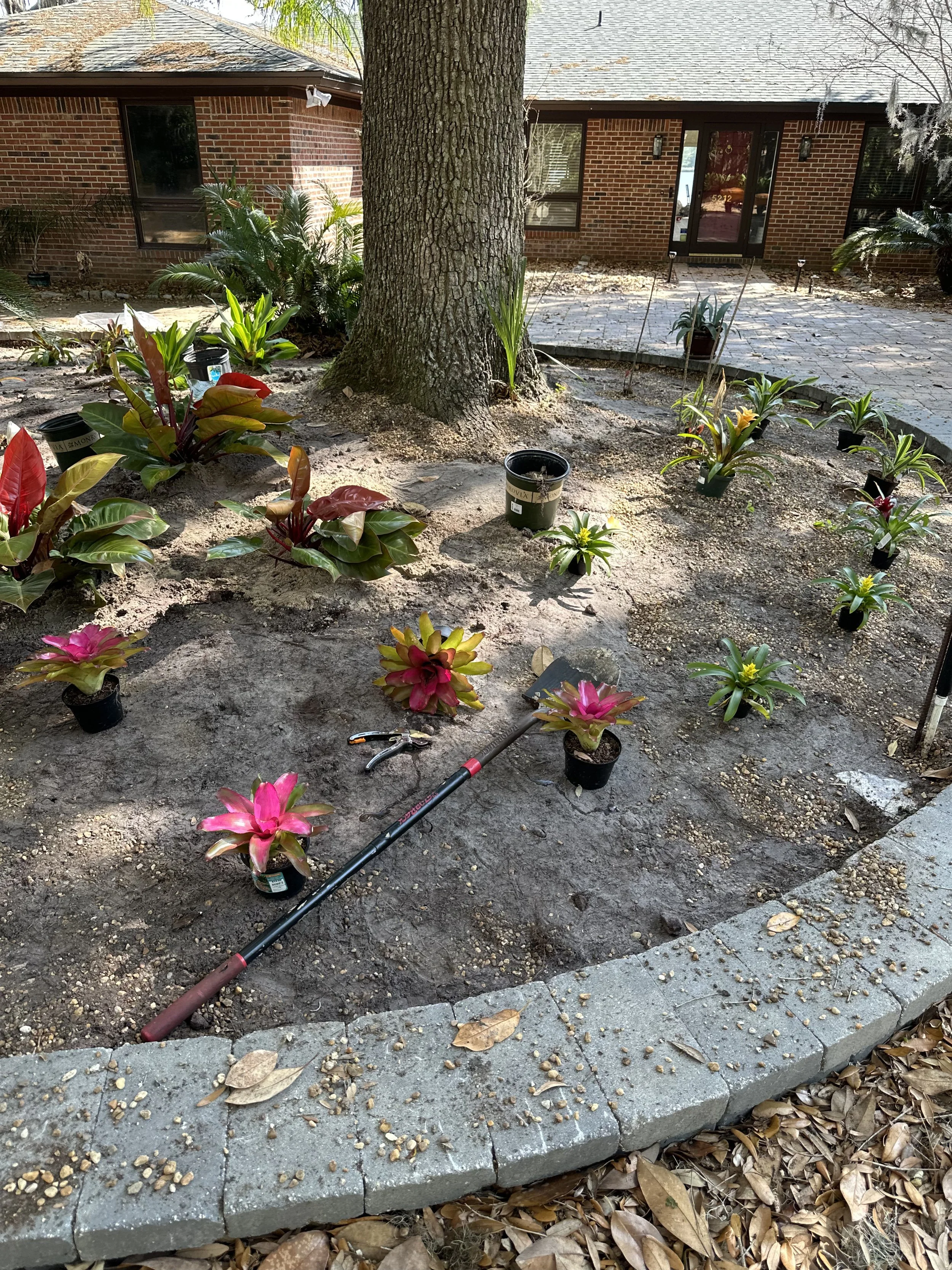 IMG_20251007_144250 (12).jpg