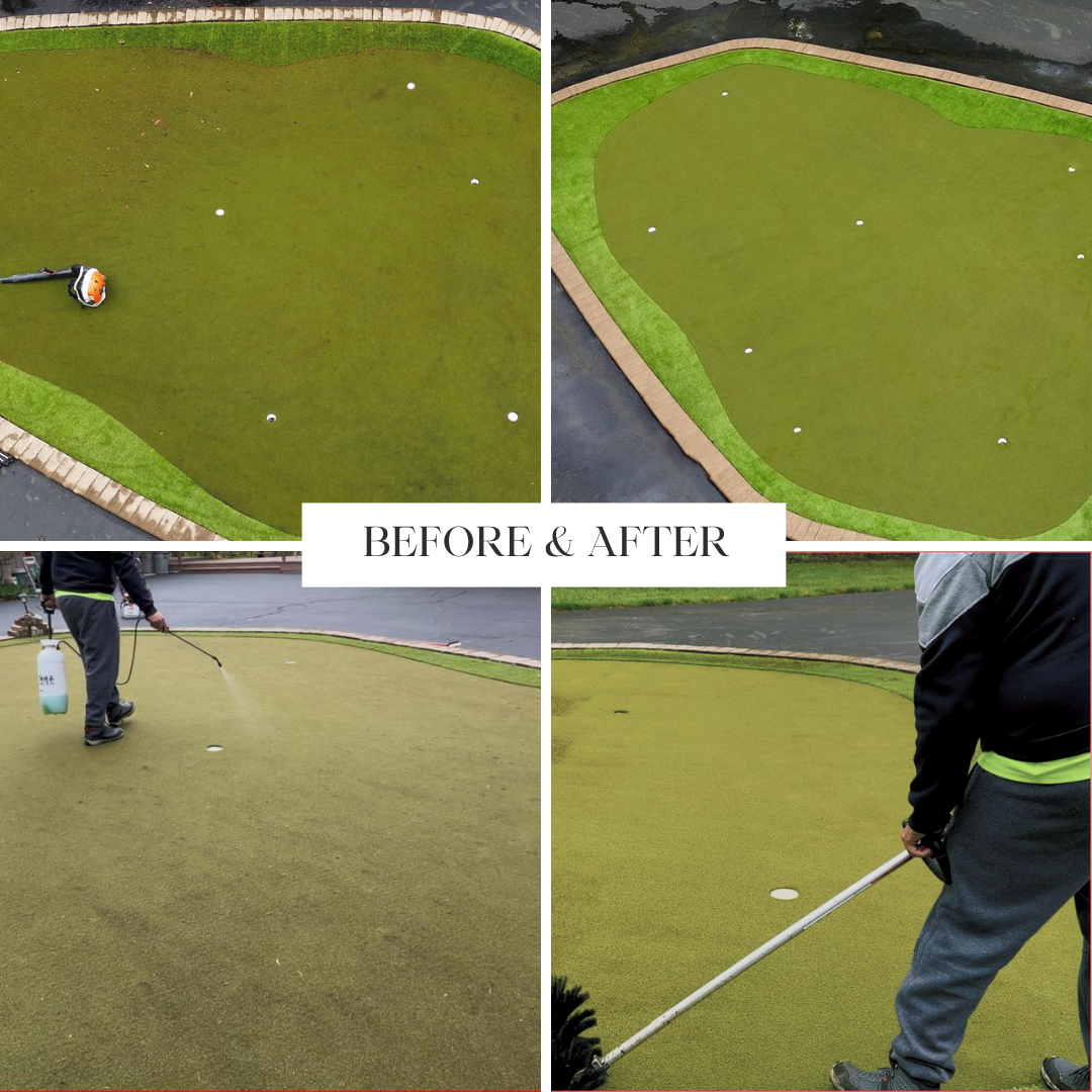 The Artificial Turf Doctors restoring a moldy putting green, showing the dramatic difference between dirty, contaminated artificial turf and a professionally cleaned surface.