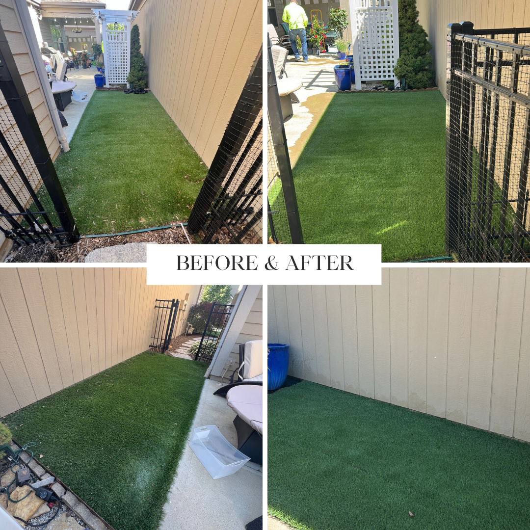 Before and after residential artificial turf cleaning, showing removal of dirt, debris, and organic buildup to restore a clean, healthy lawn.