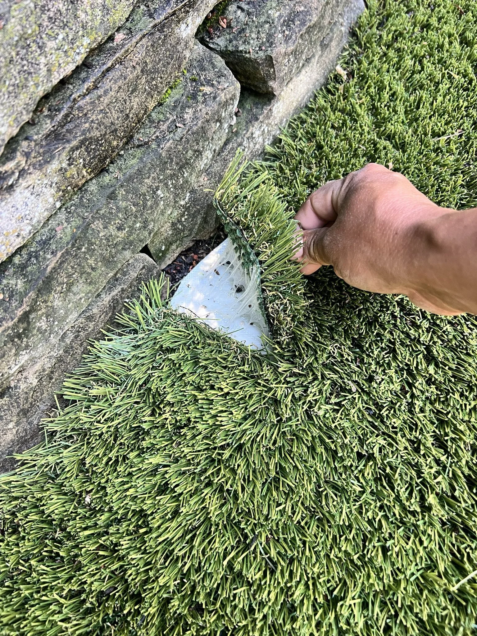 A person pulling back a section of trimmed green turf grass, revealing a white patch of adhesive or material underneath, next to a stone wall.