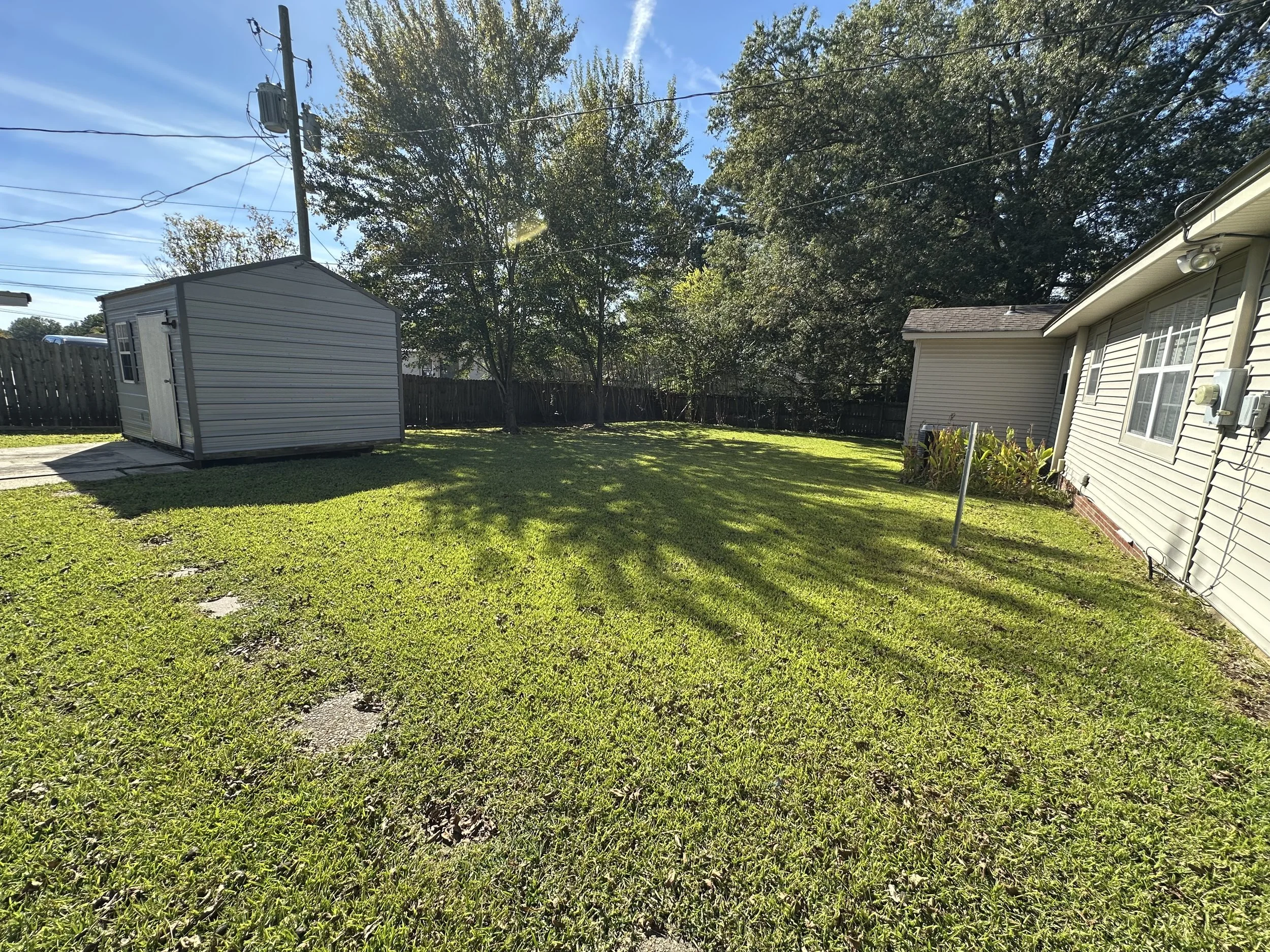 A backyard with green grass, a small shed, a tree, and a house with two windows, fence in the background, and clear blue sky.