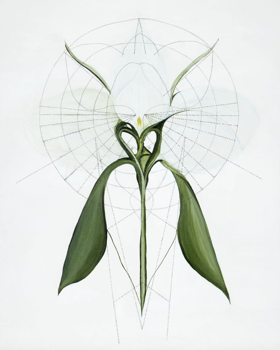 Screenshot 2025-10-08 at 10.48.37 PM.png