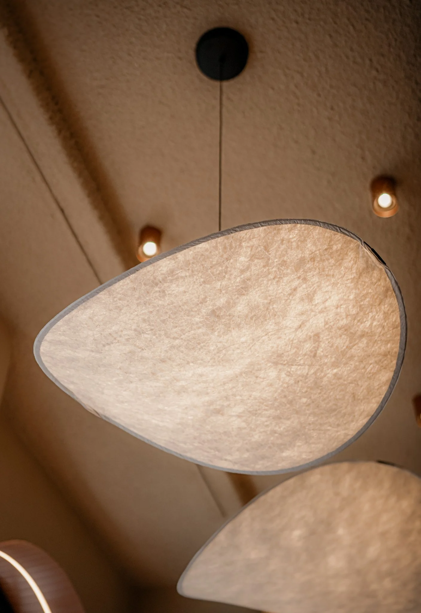 Copie de A7400452.jpg