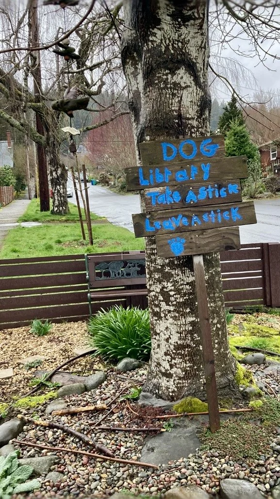 Sustaining Wonder                                          in Your Creative Practice