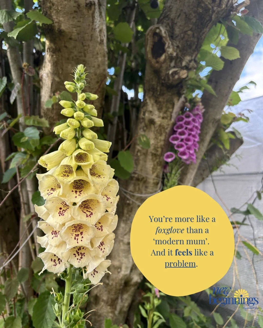 You&rsquo;re designed like a flower but expected to function like the entire ecosystem on your own. 

Society expects you to hold everything, do everything. While all you want to do is just *be*. 

Your desire for a village makes sense. 

So much sen
