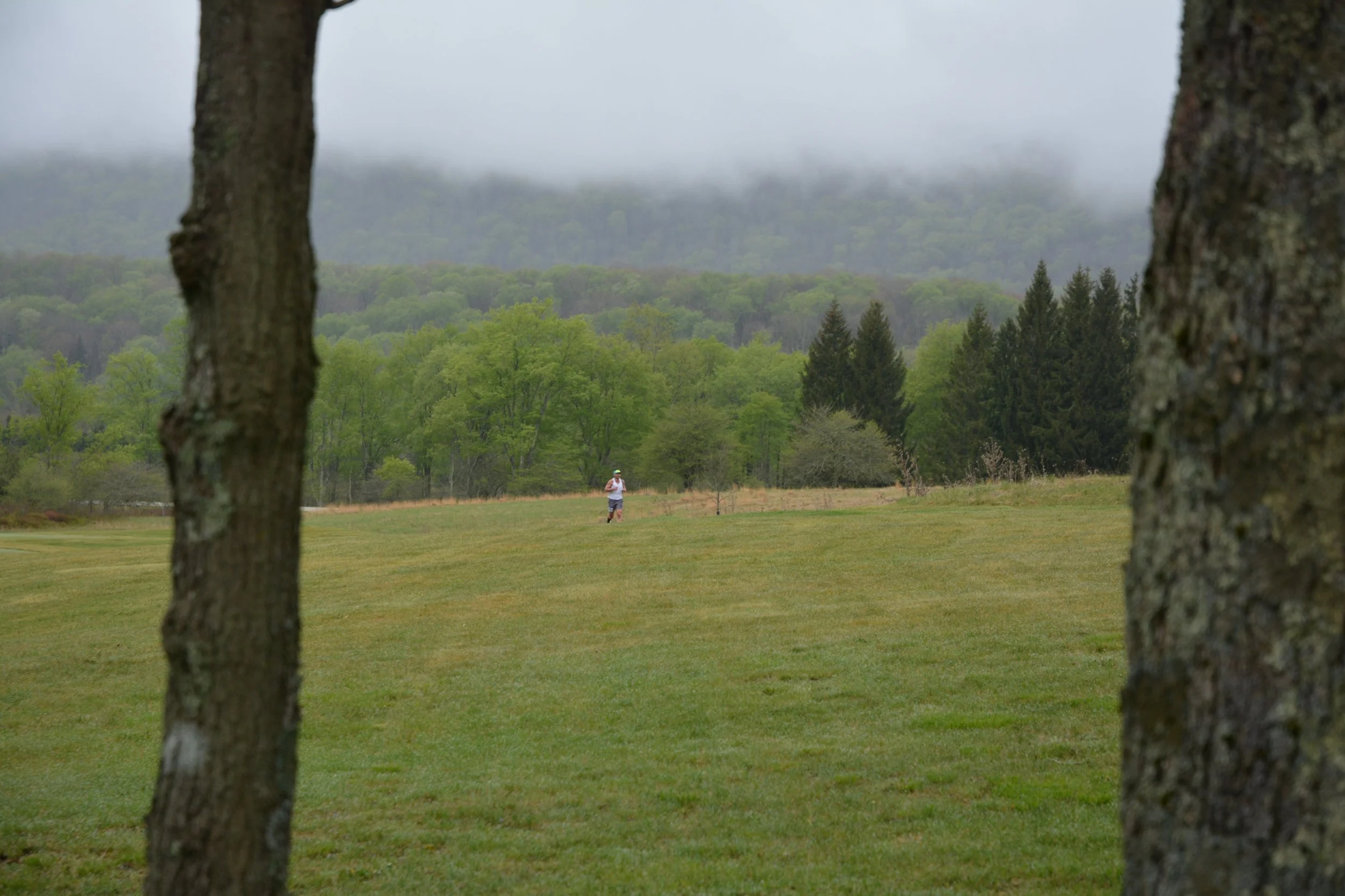 DSC_5524.JPG