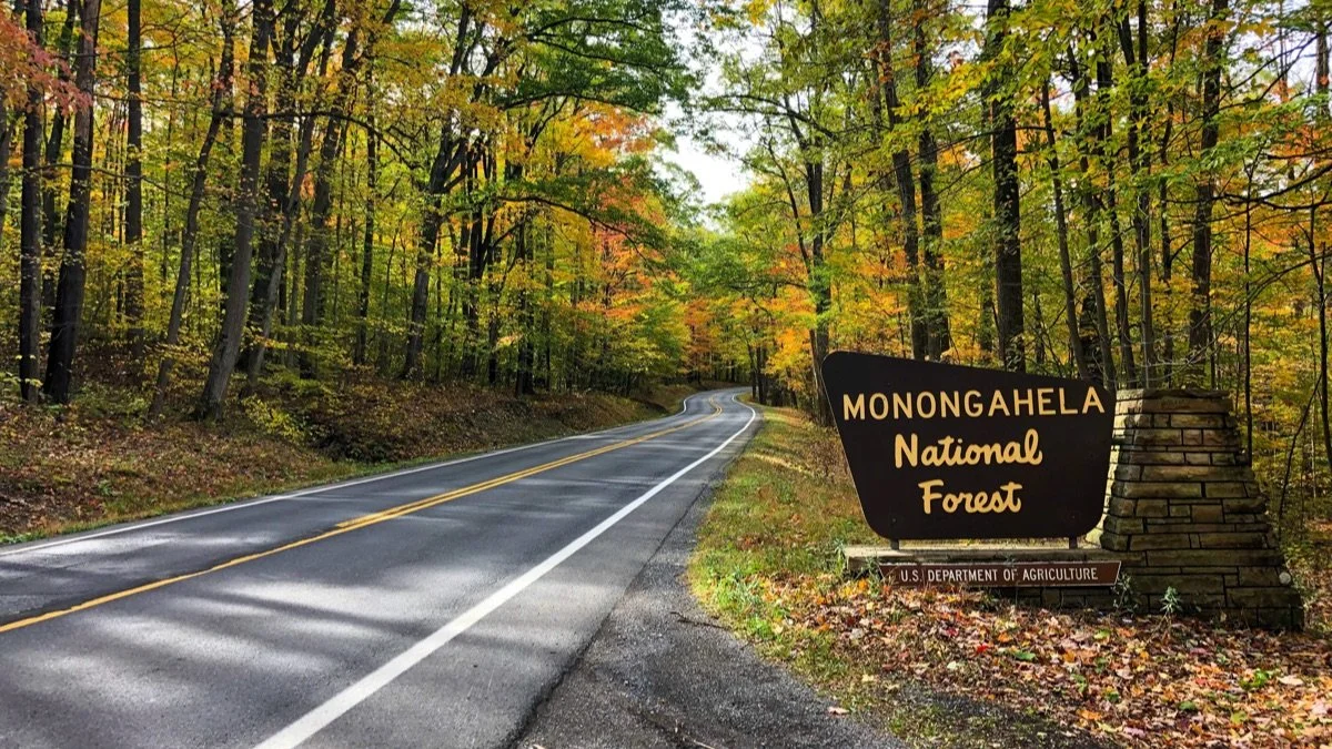 The Monongahela National Forest