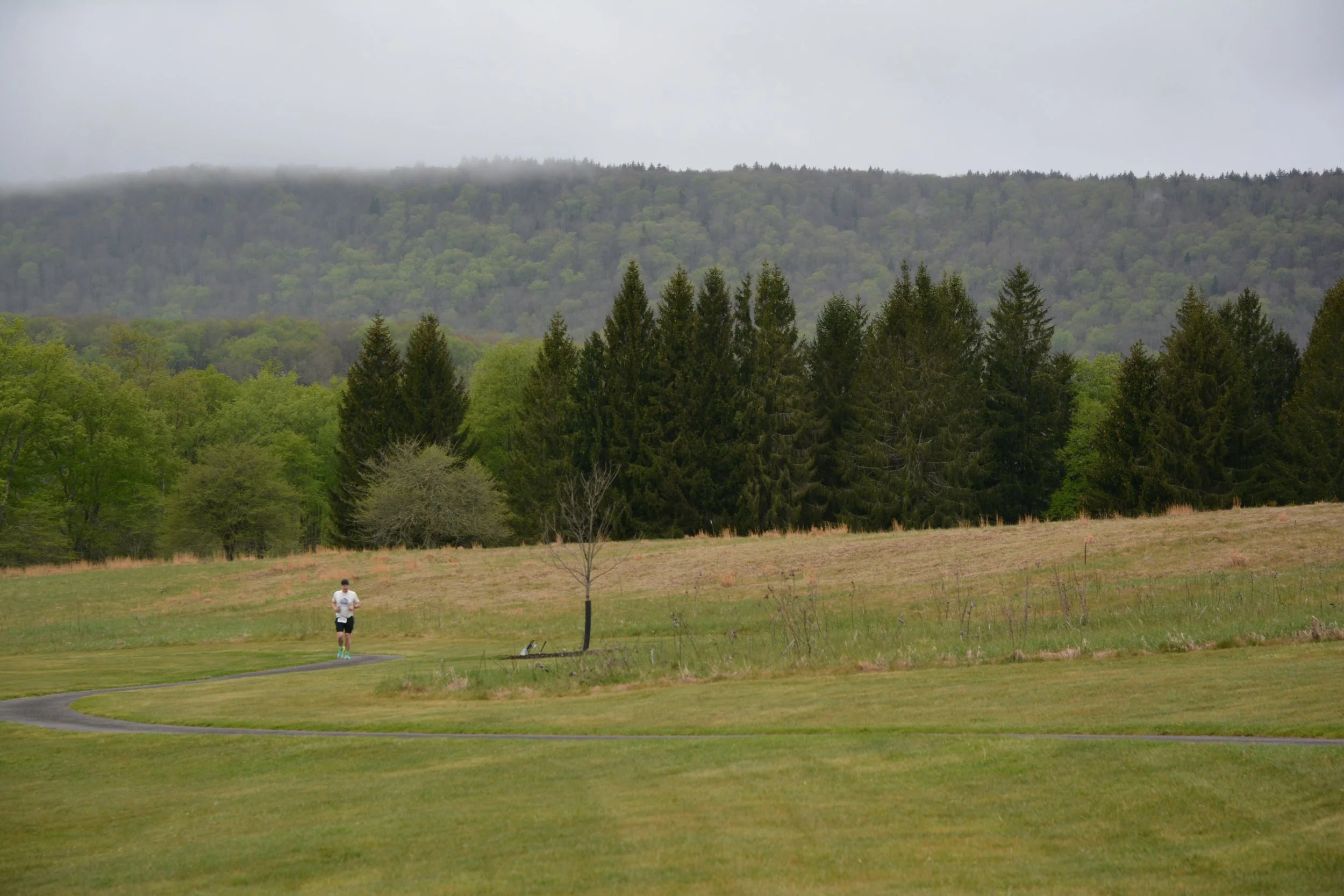 DSC_5622.JPG