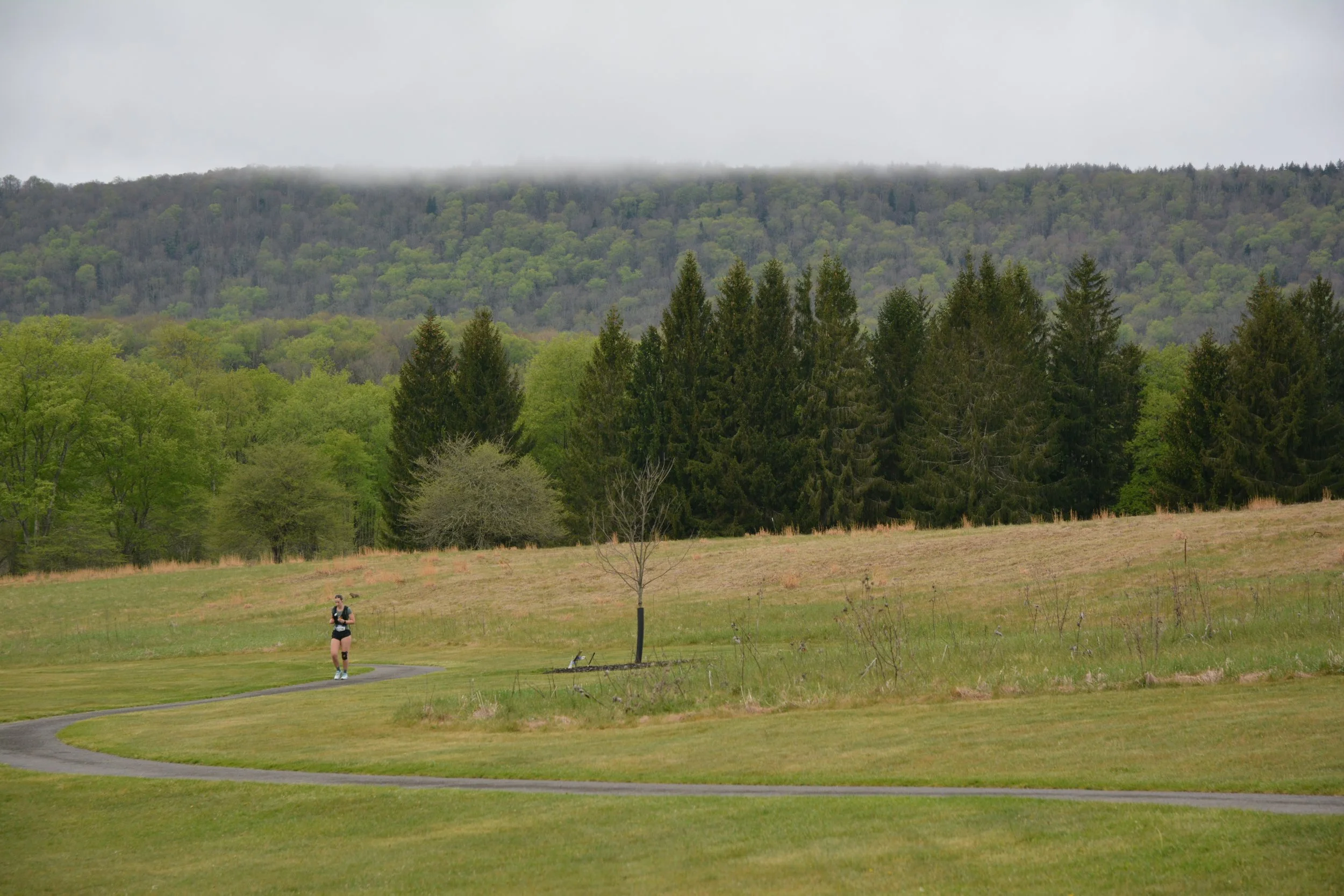 DSC_5764.JPG