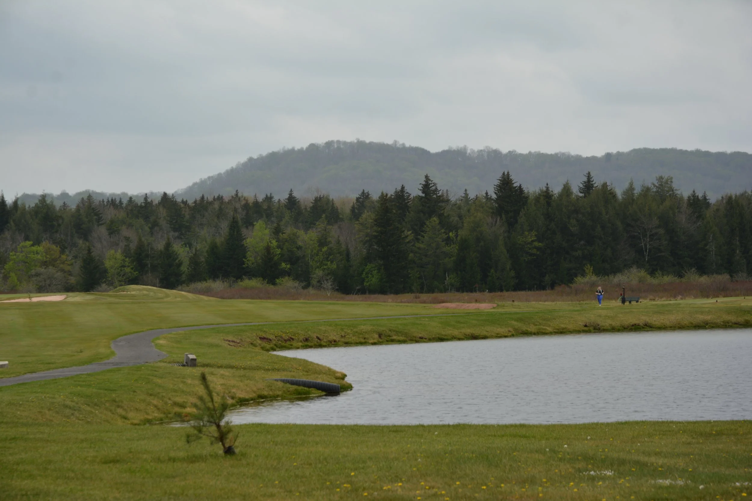 DSC_5018.JPG