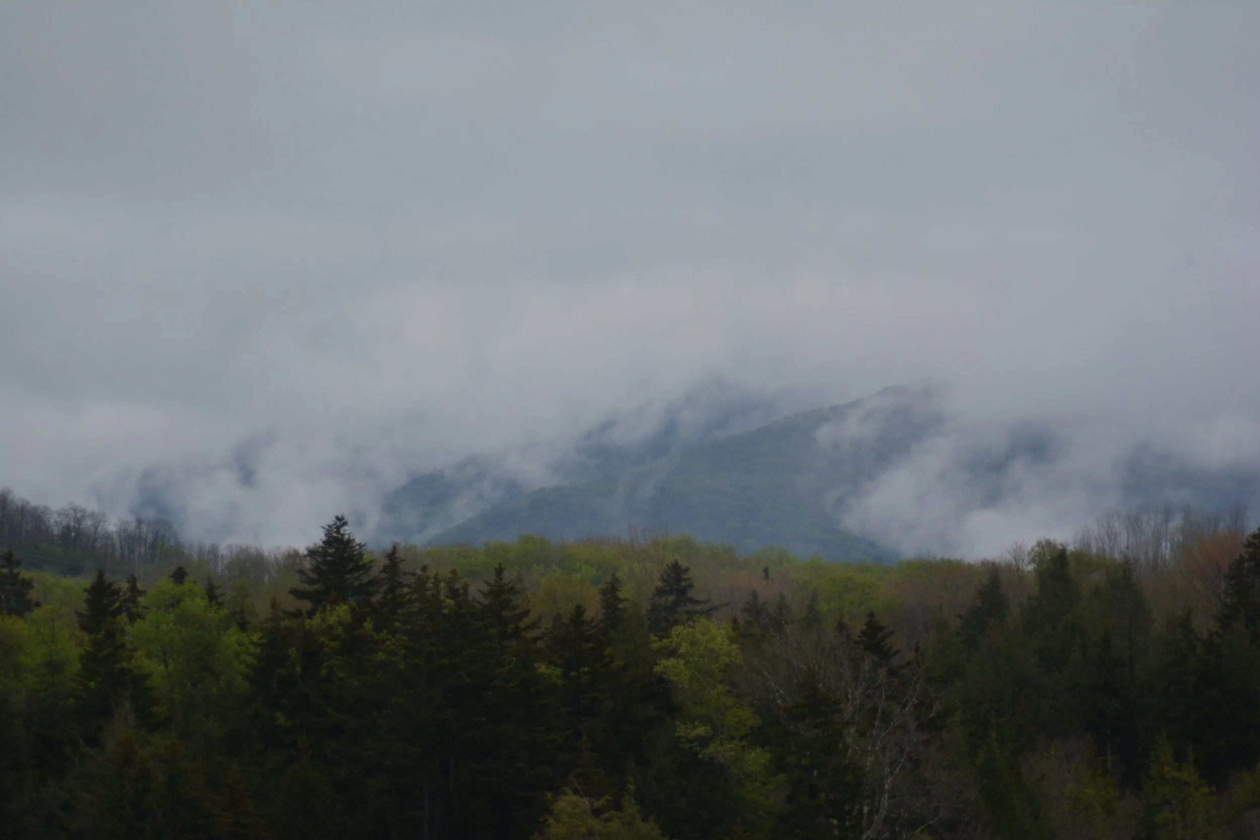 DSC_5224.JPG