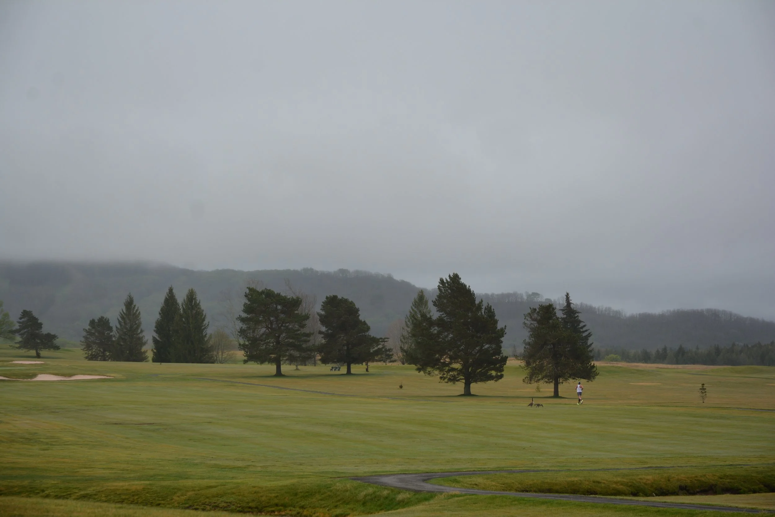 DSC_5450.JPG
