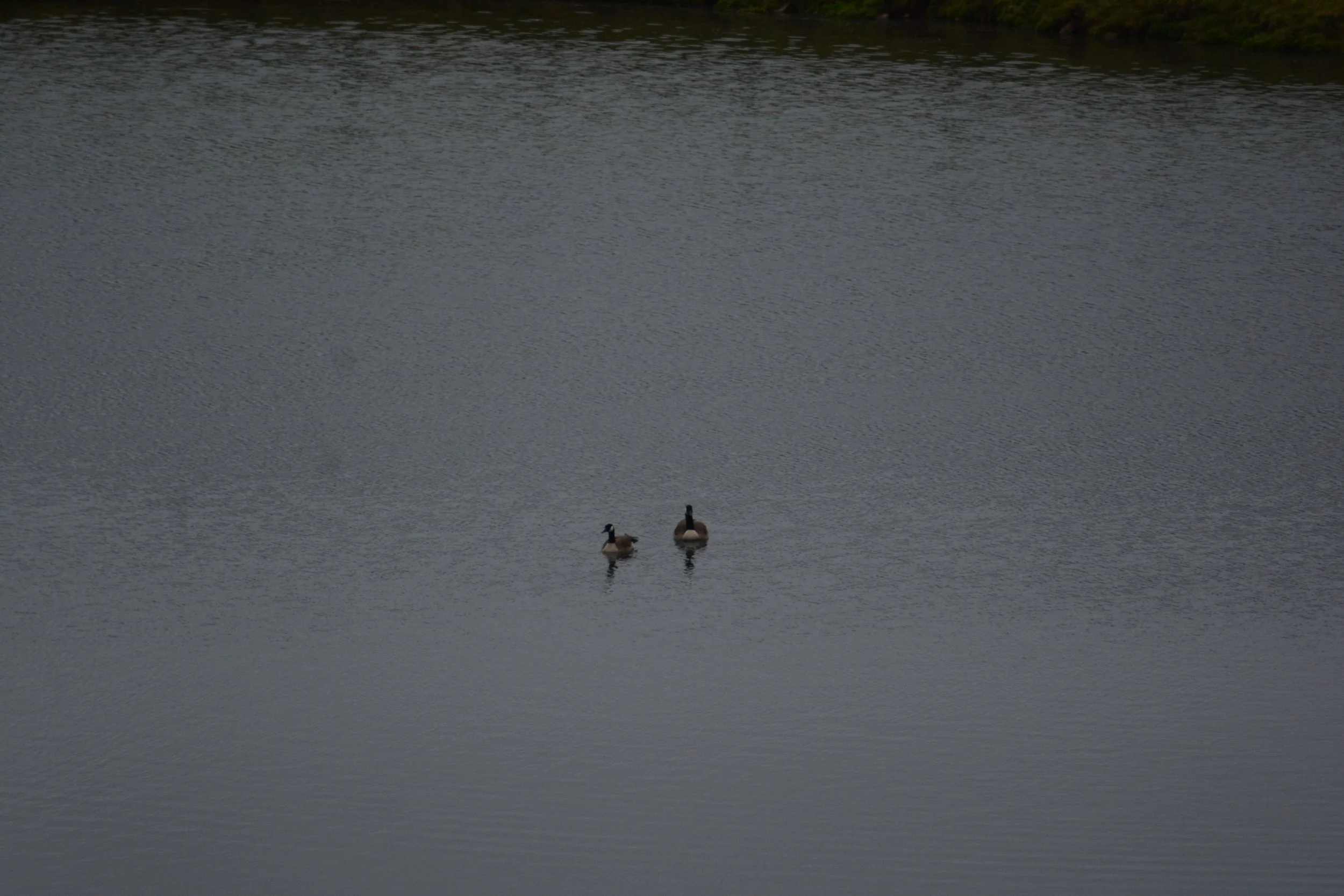 DSC_5227.JPG