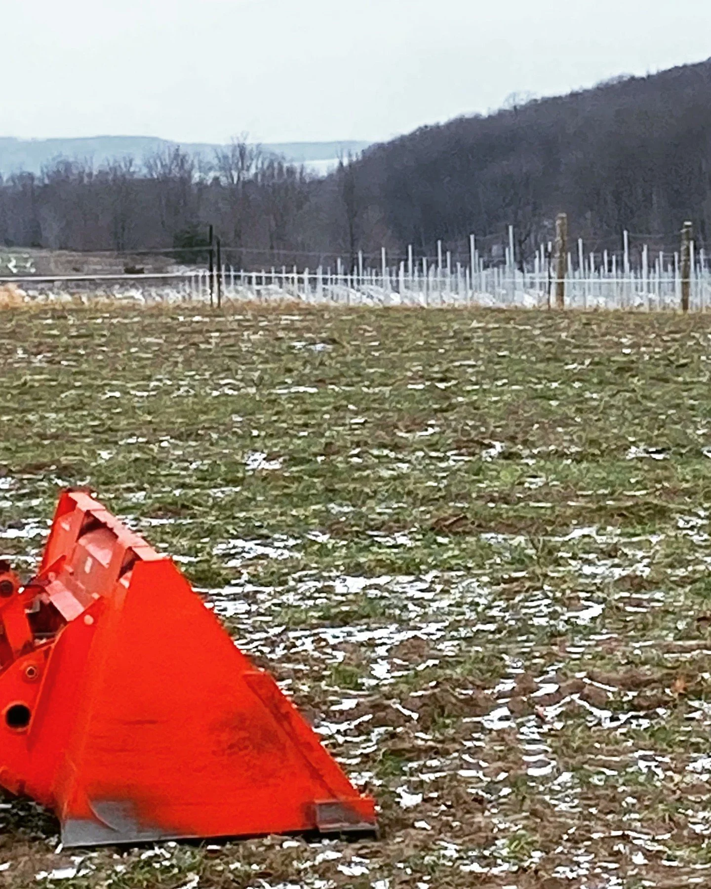 Winter, from the outside, looks quiet. But out in the vineyard, something is taking shape. ❄️

Our newest blog, Among the Vines, is a reflection on this season of preparation &mdash; the work happening now, and the quiet sense of possibility it carri