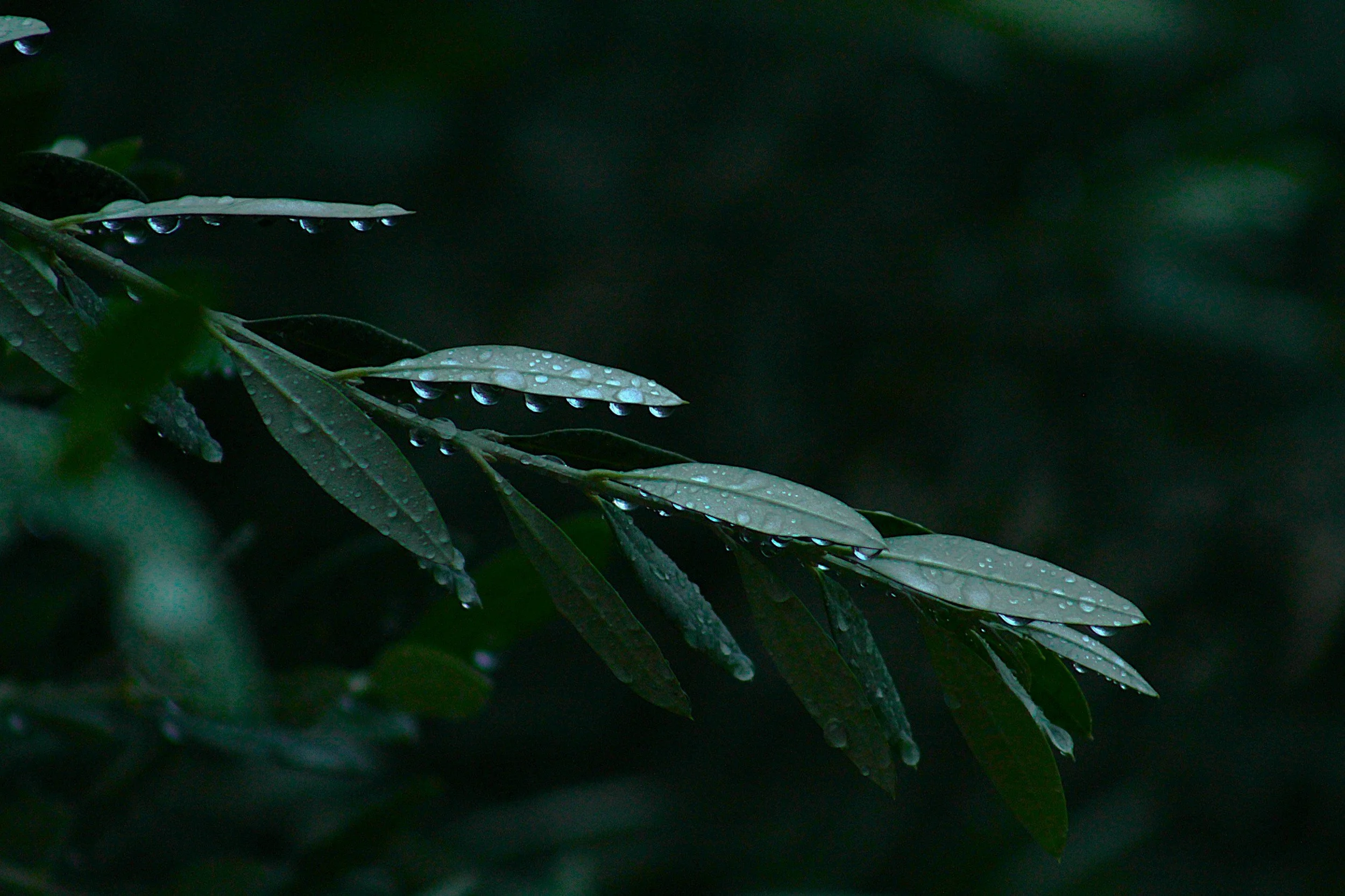 How to find a therapist in Westchester, NY