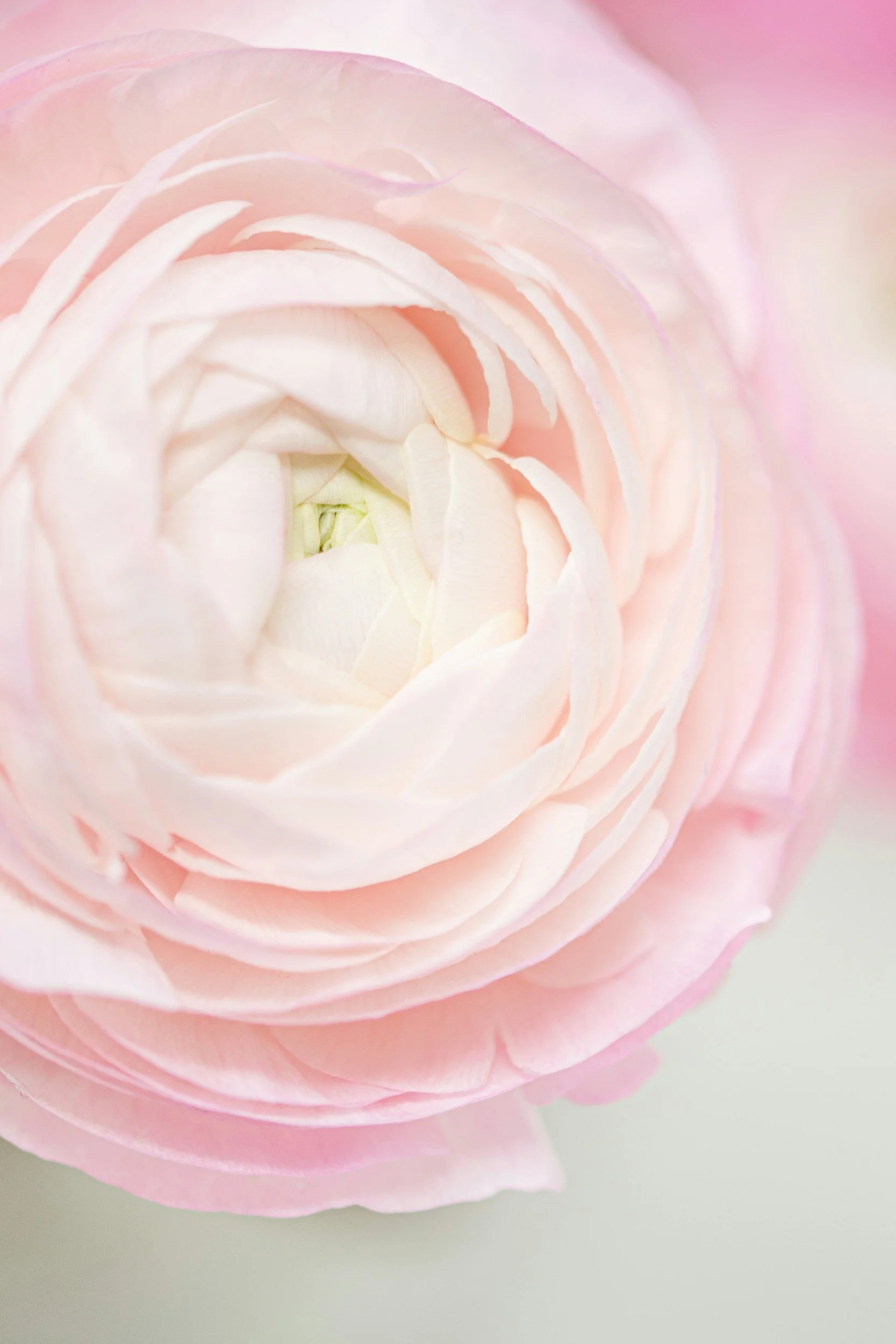 Mom Guilt Is Common—But That Doesn’t Mean It’s Harmless