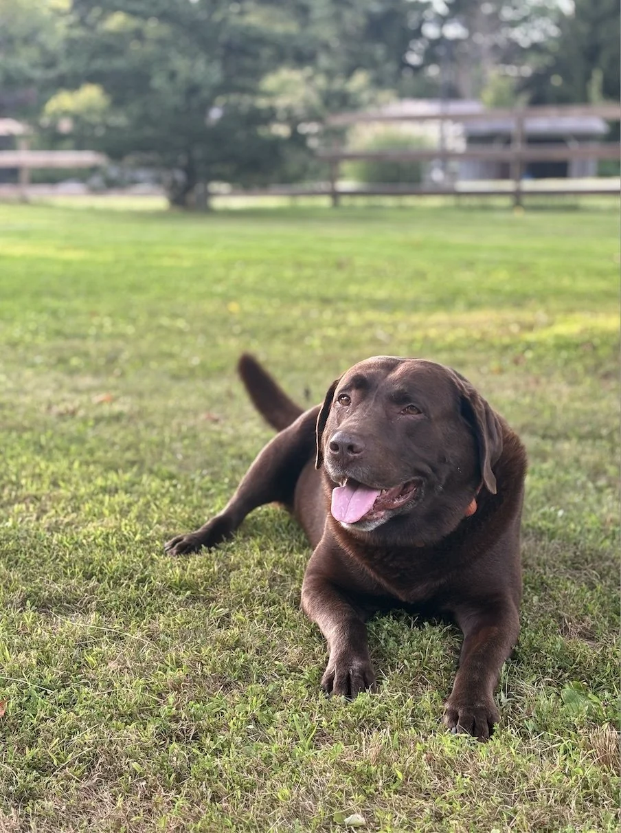 A smiling woman with long hair outdoors in black and white photos.