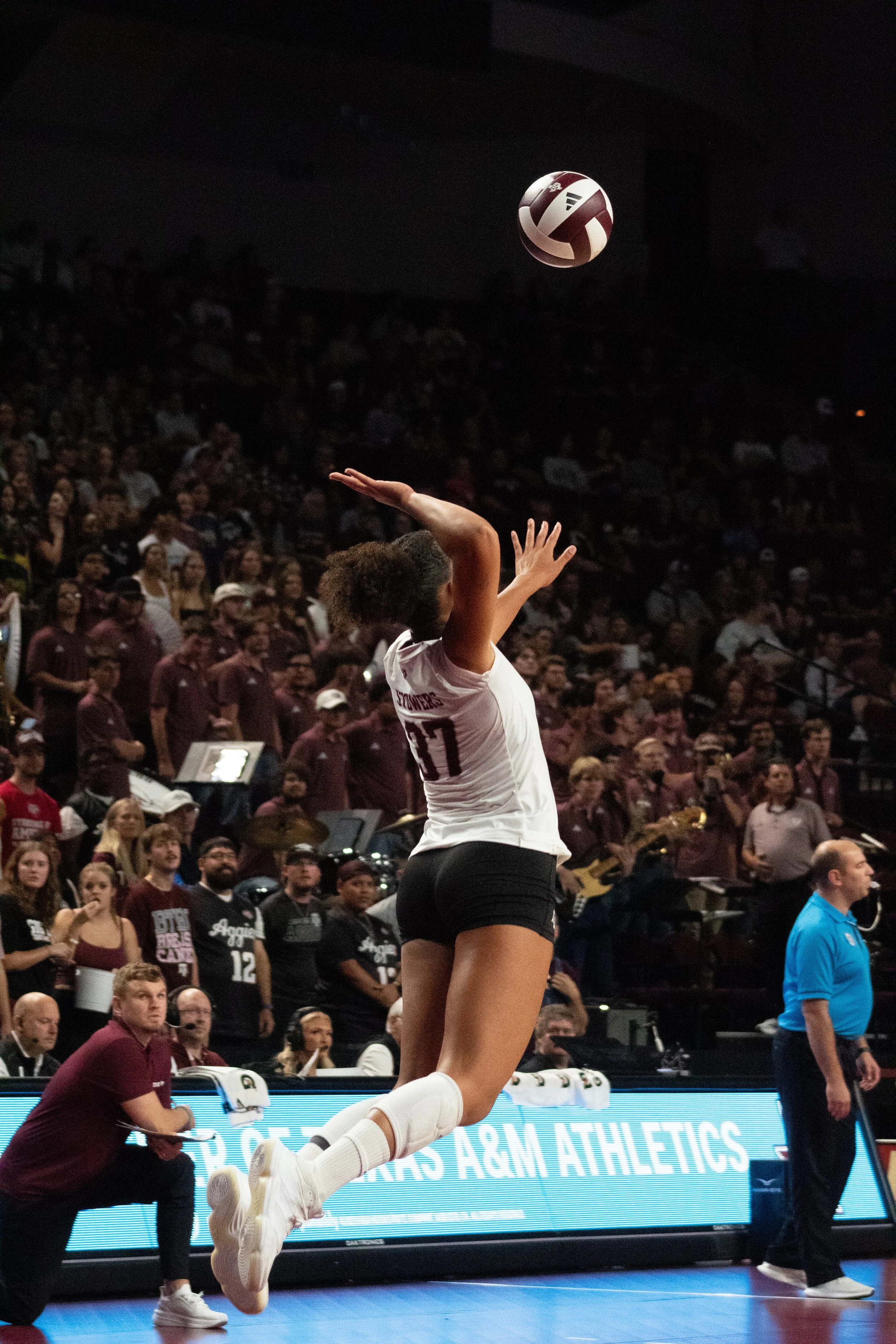 BAMA_COVER_VB.jpg